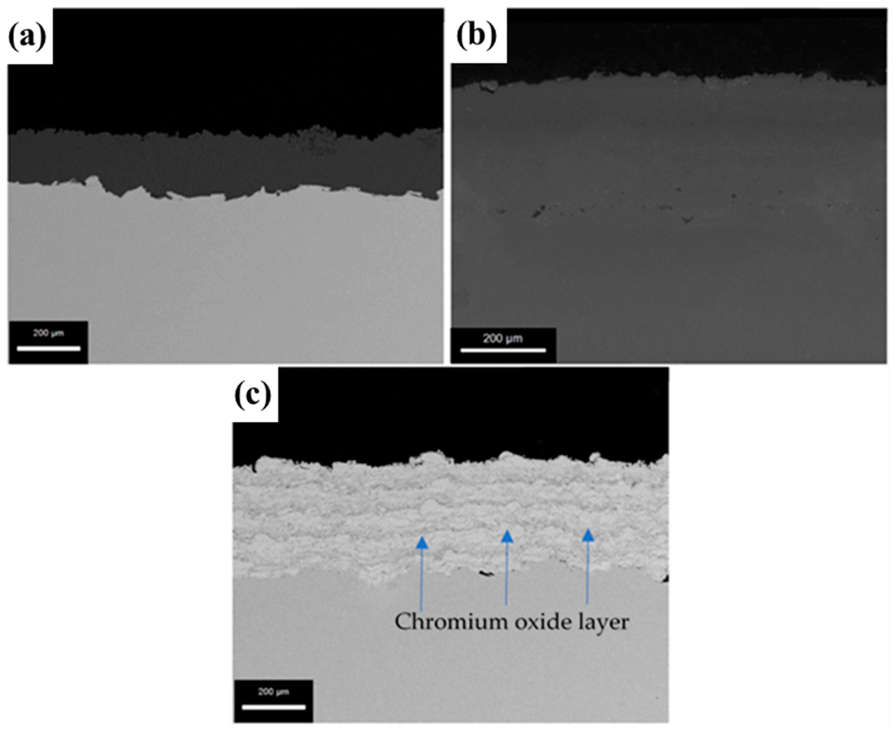 Coatings 13 00204 g003