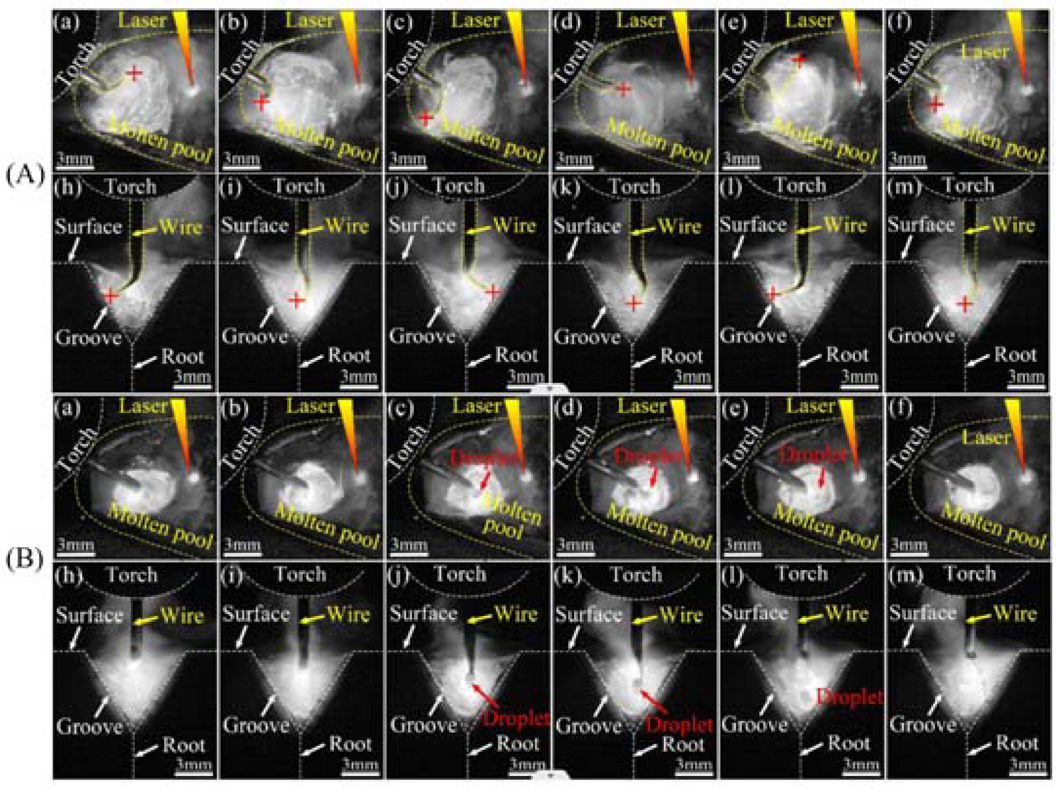 Coatings 13 00205 g016