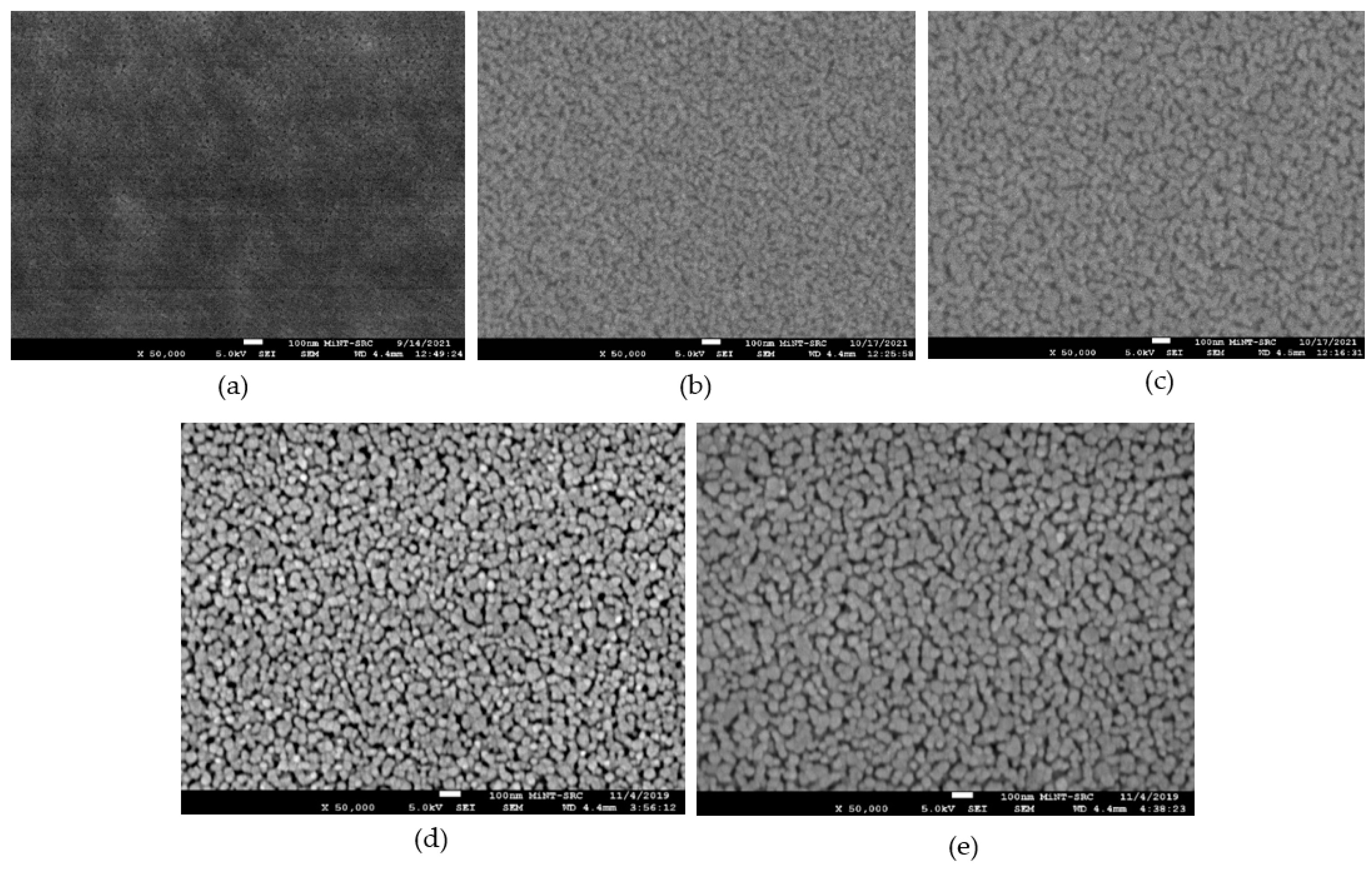 Coatings 13 00206 g002
