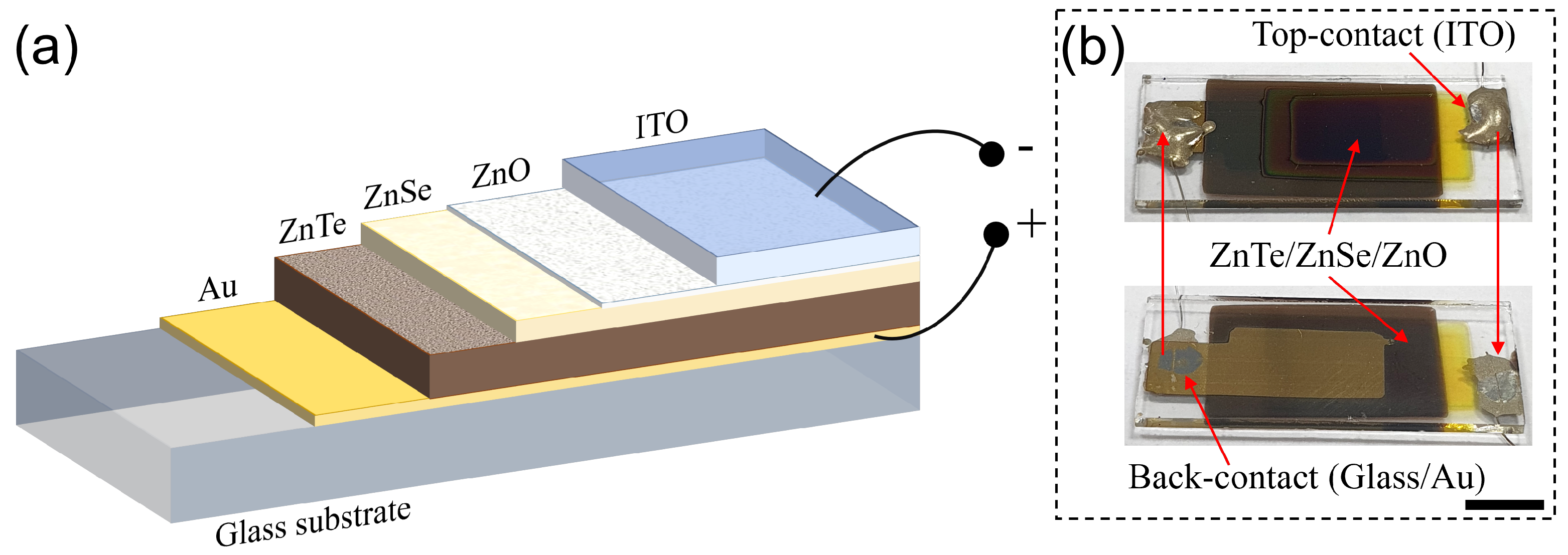 Coatings 13 00208 g001