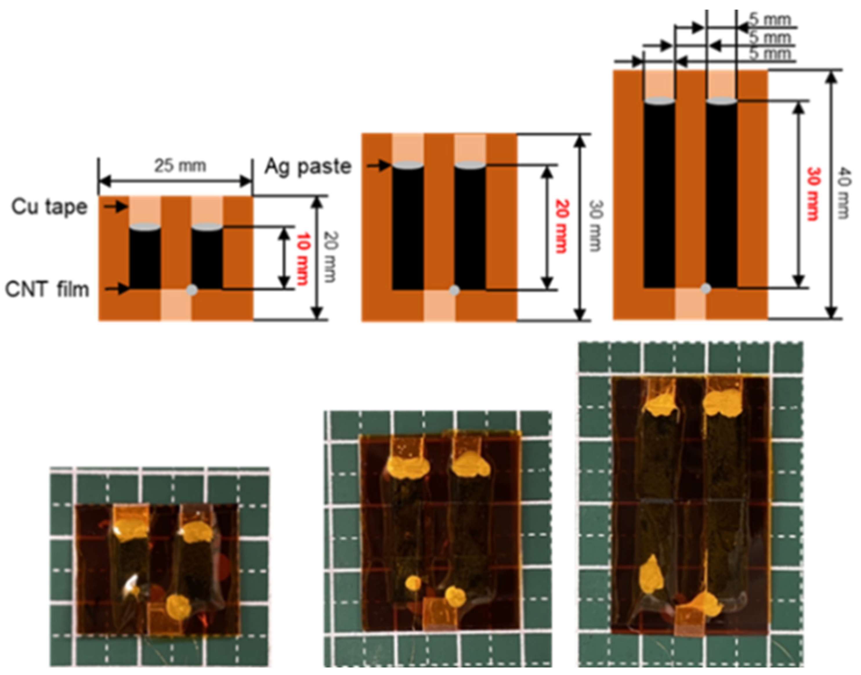 Coatings 13 00209 g002