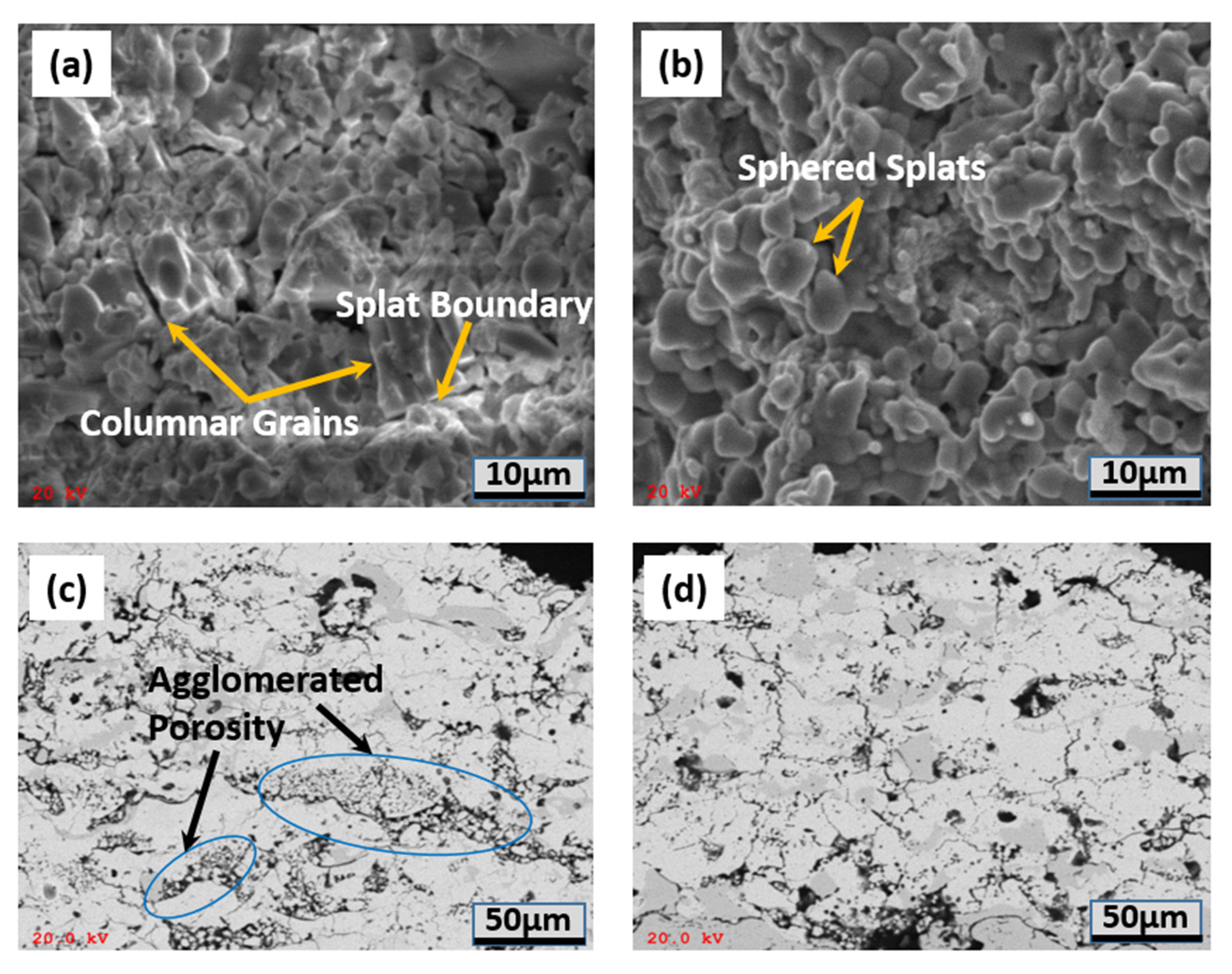 Coatings 13 00210 g006