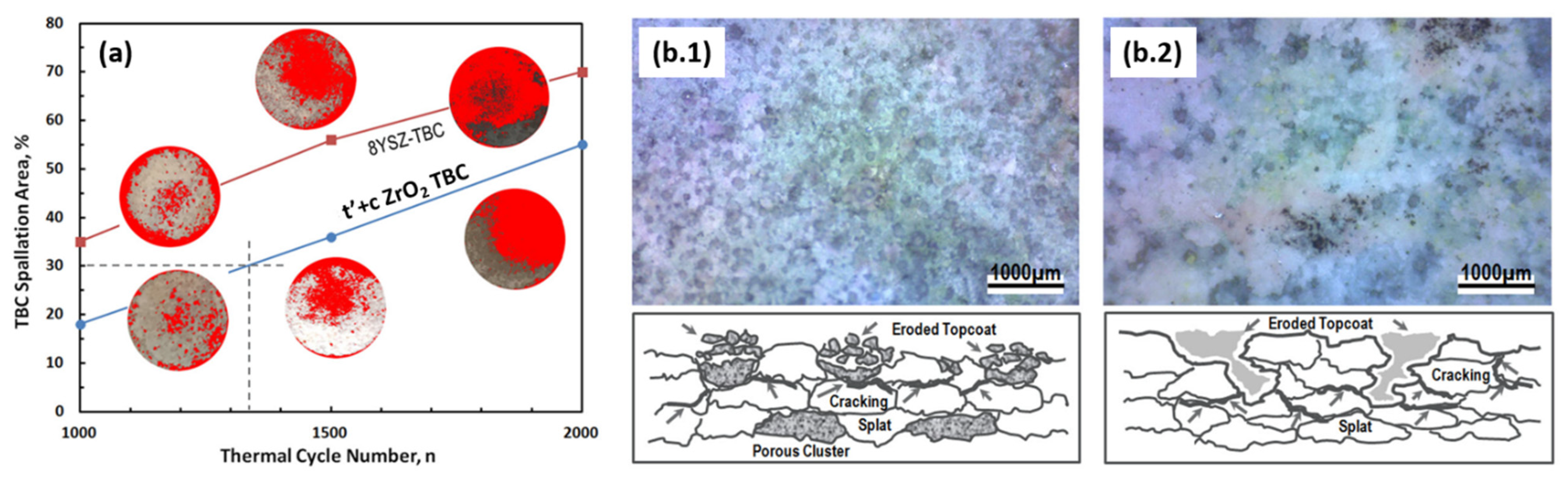 Coatings 13 00210 g009