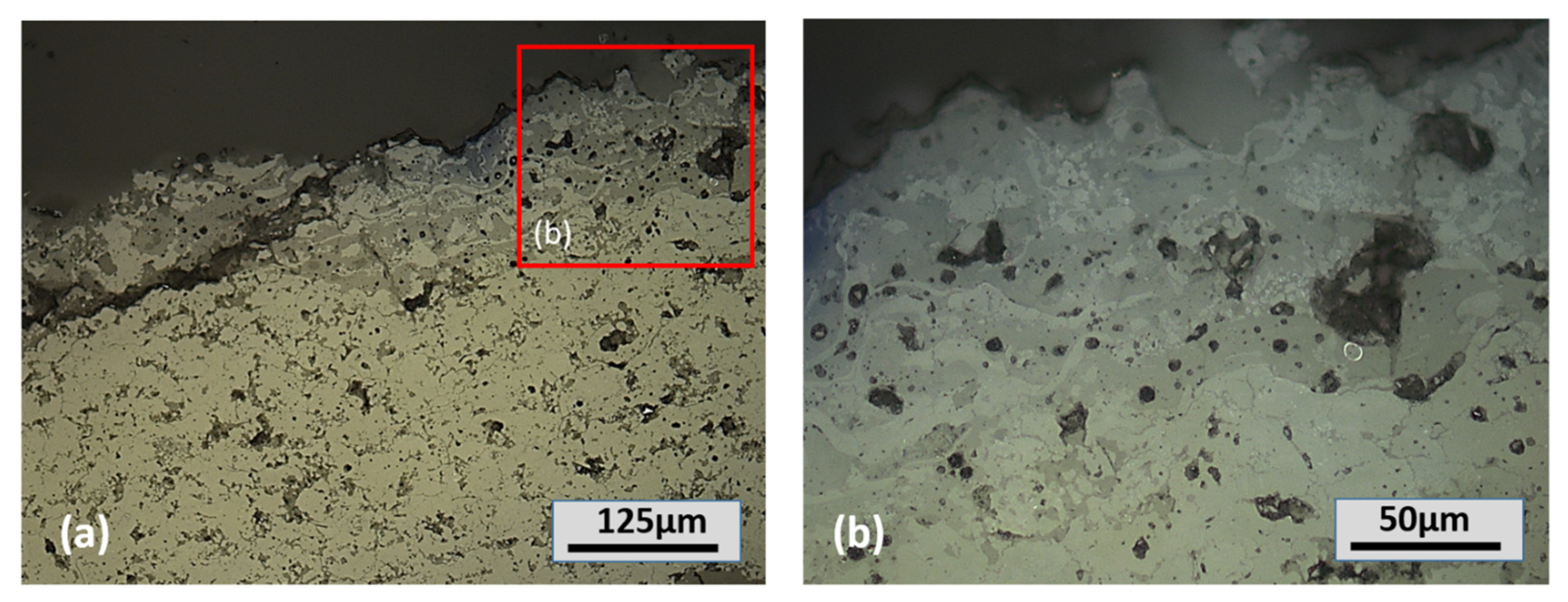 Coatings 13 00210 g013