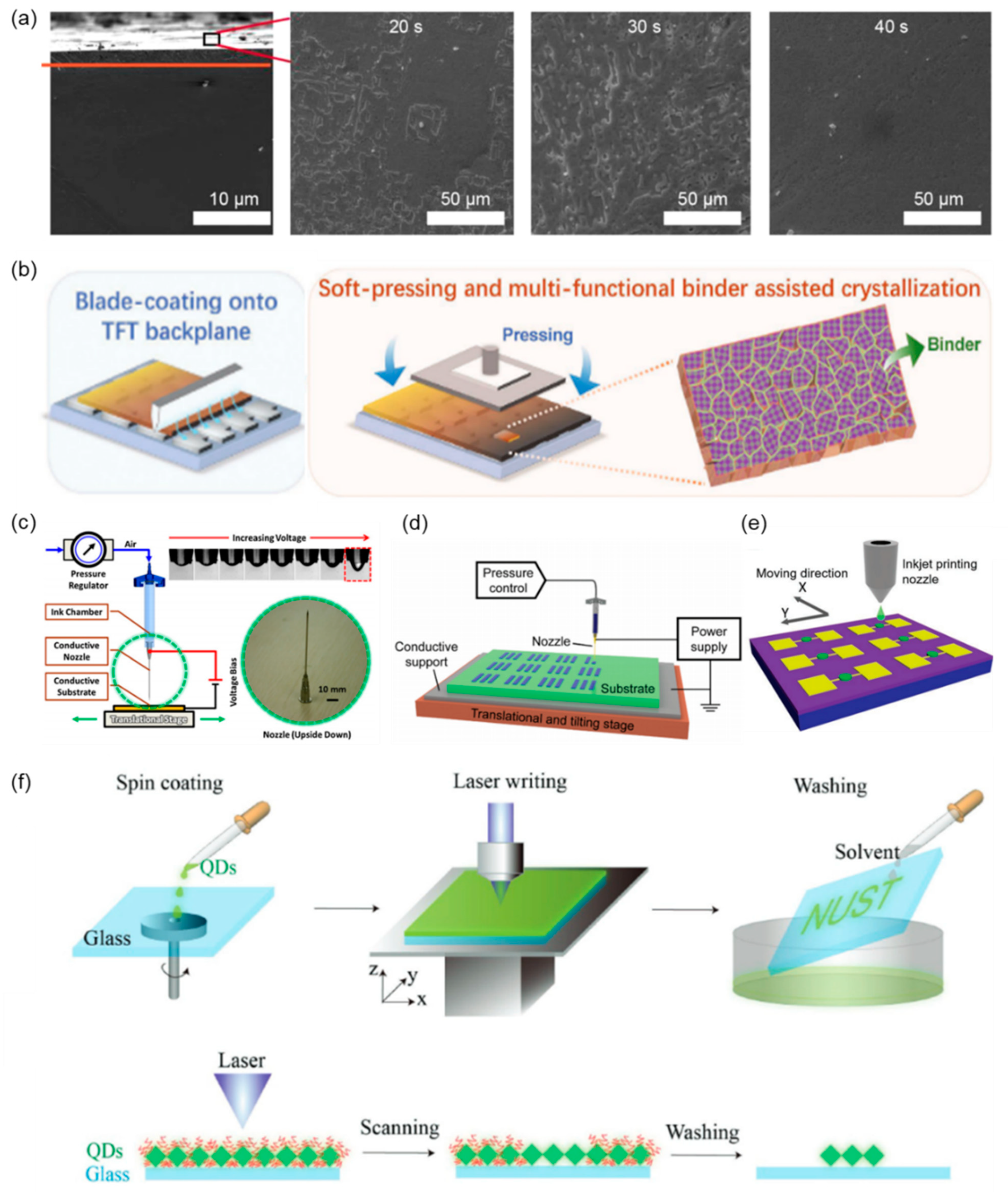 Coatings 13 00211 g003