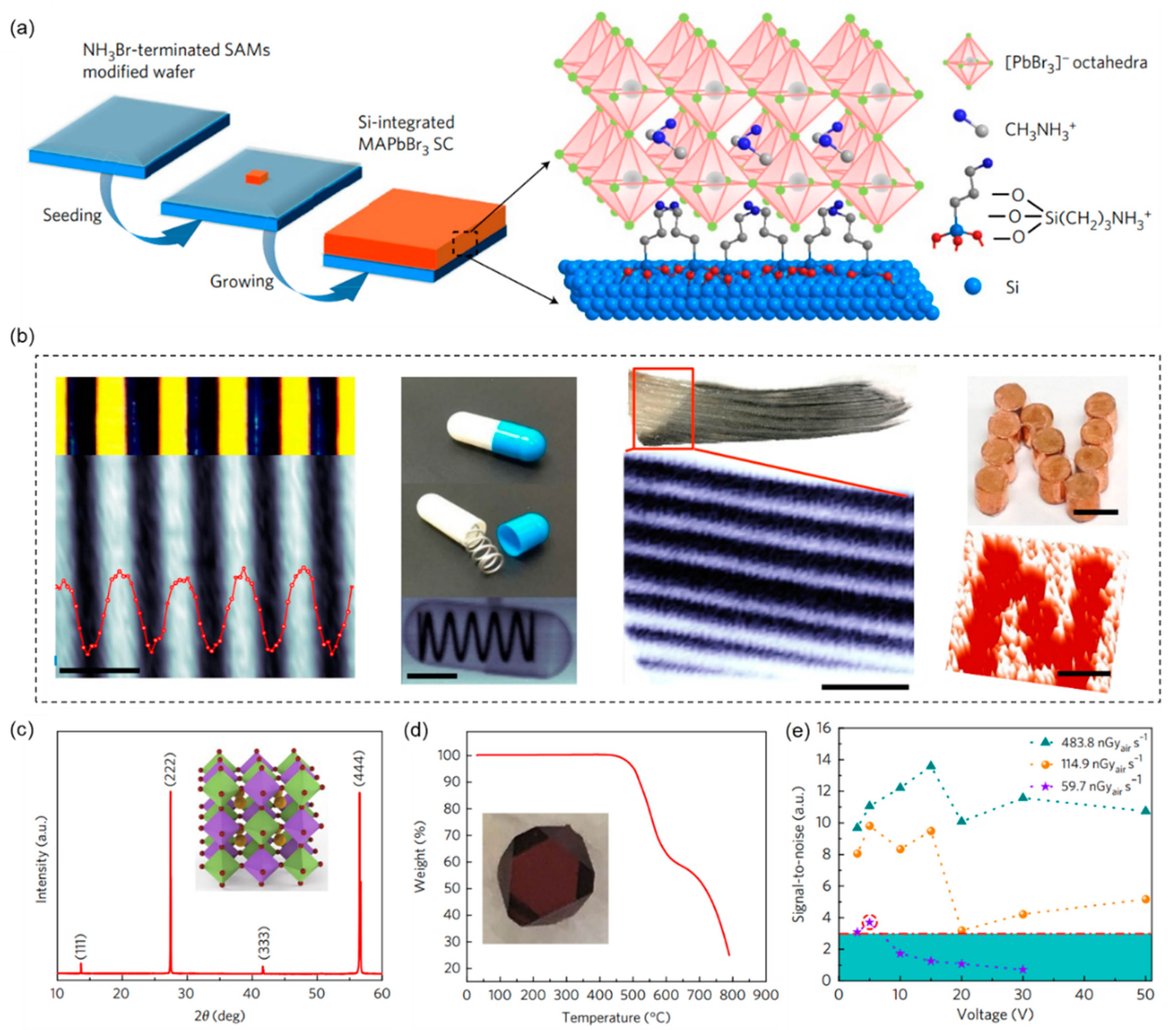 Coatings 13 00211 g004