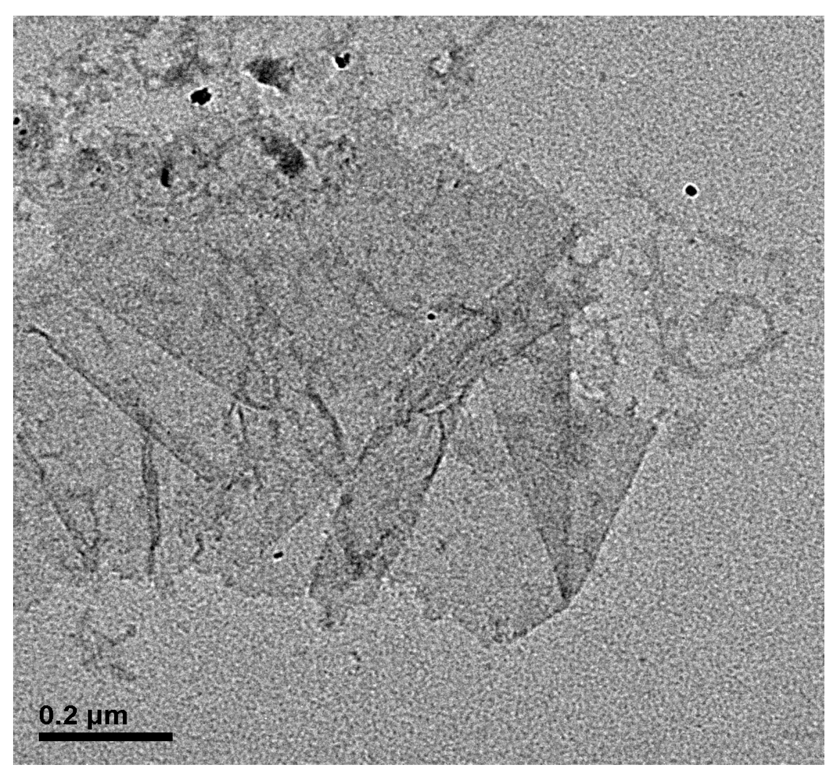 Coatings 13 00213 g001