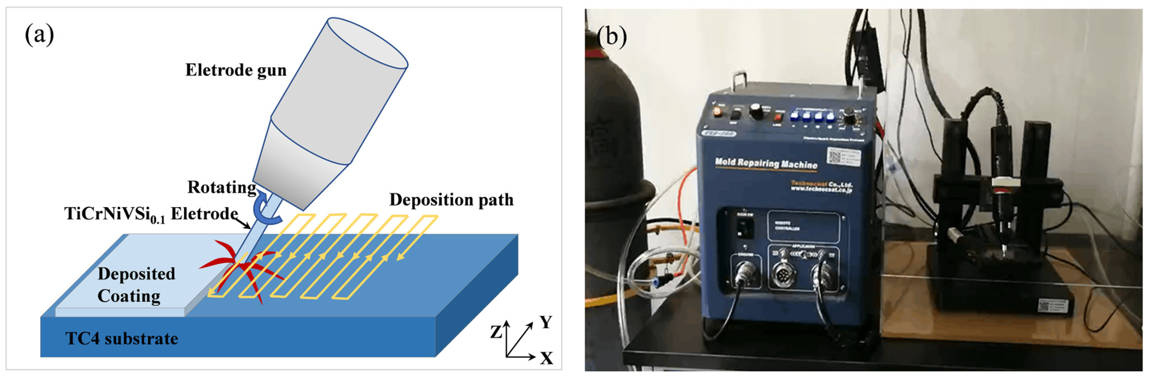 Coatings 13 00214 g001