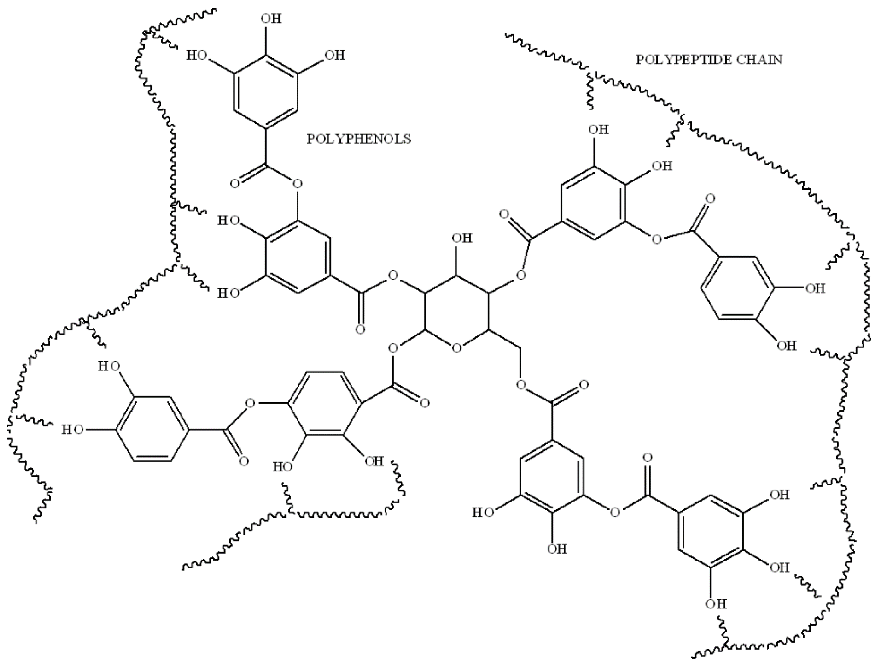 Coatings 13 00217 g001