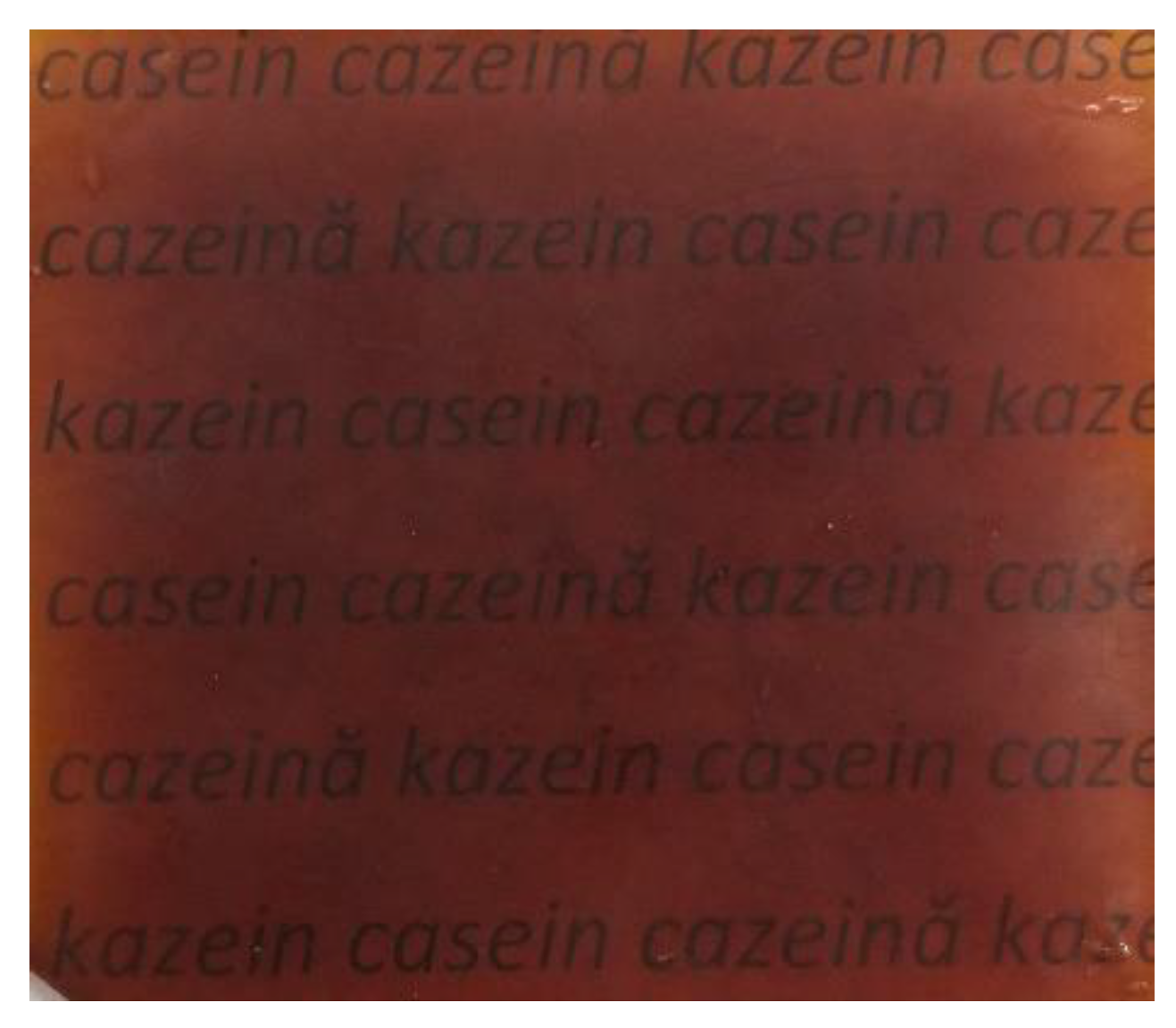 Coatings 13 00217 g003