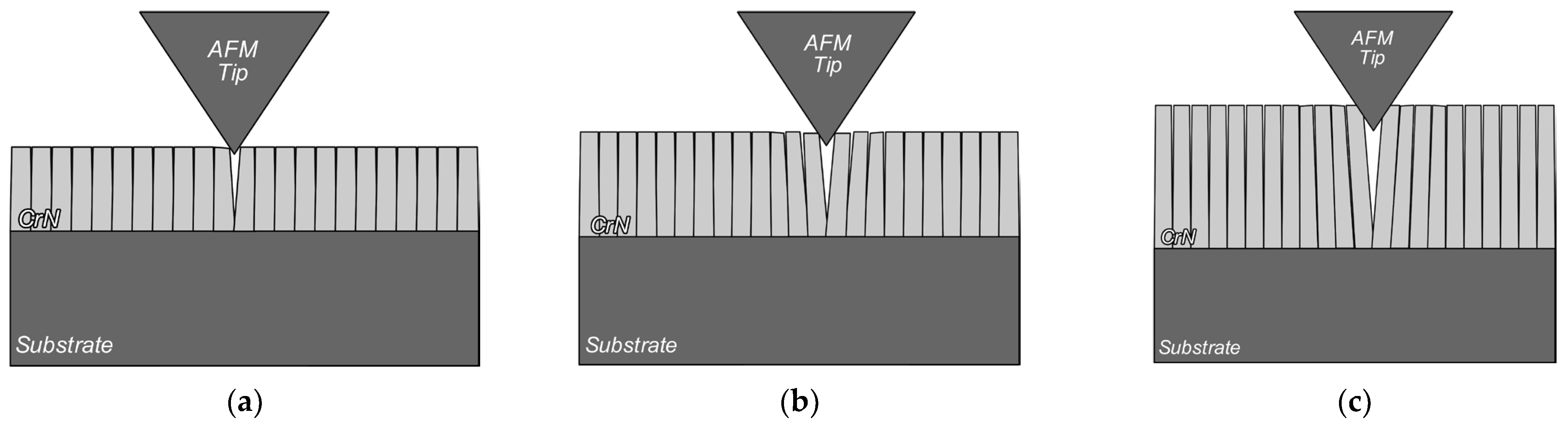 Coatings 13 00219 g012 Coatings 13 00219 g012