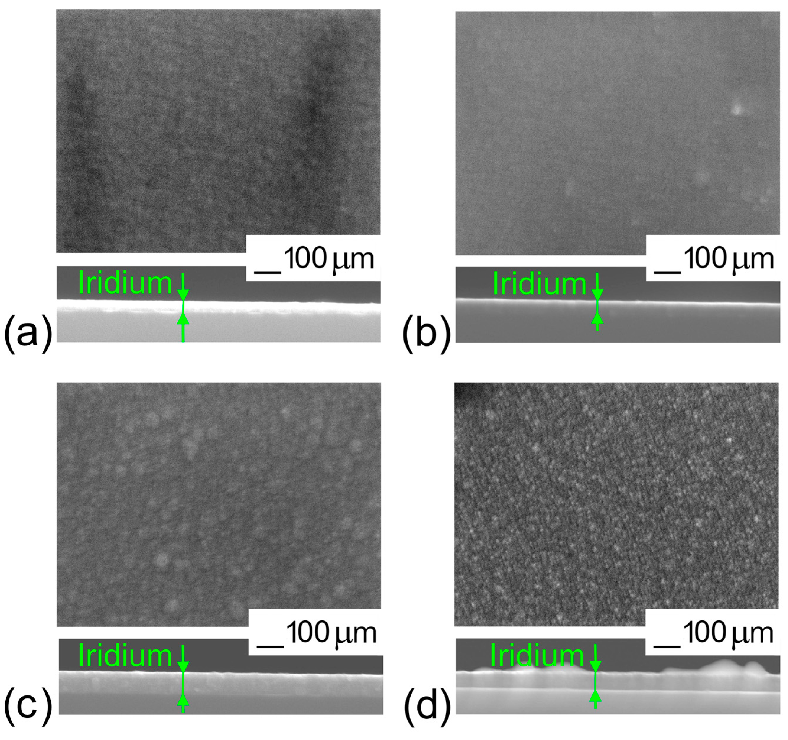 Coatings 13 00222 g002
