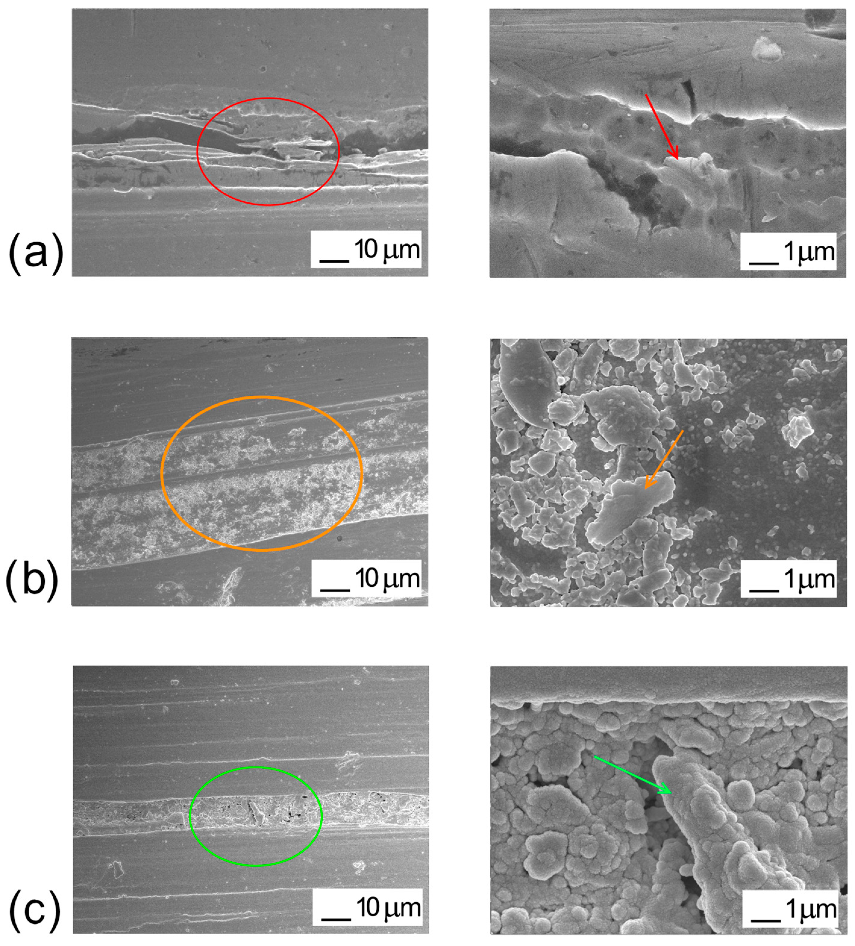 Coatings 13 00222 g008