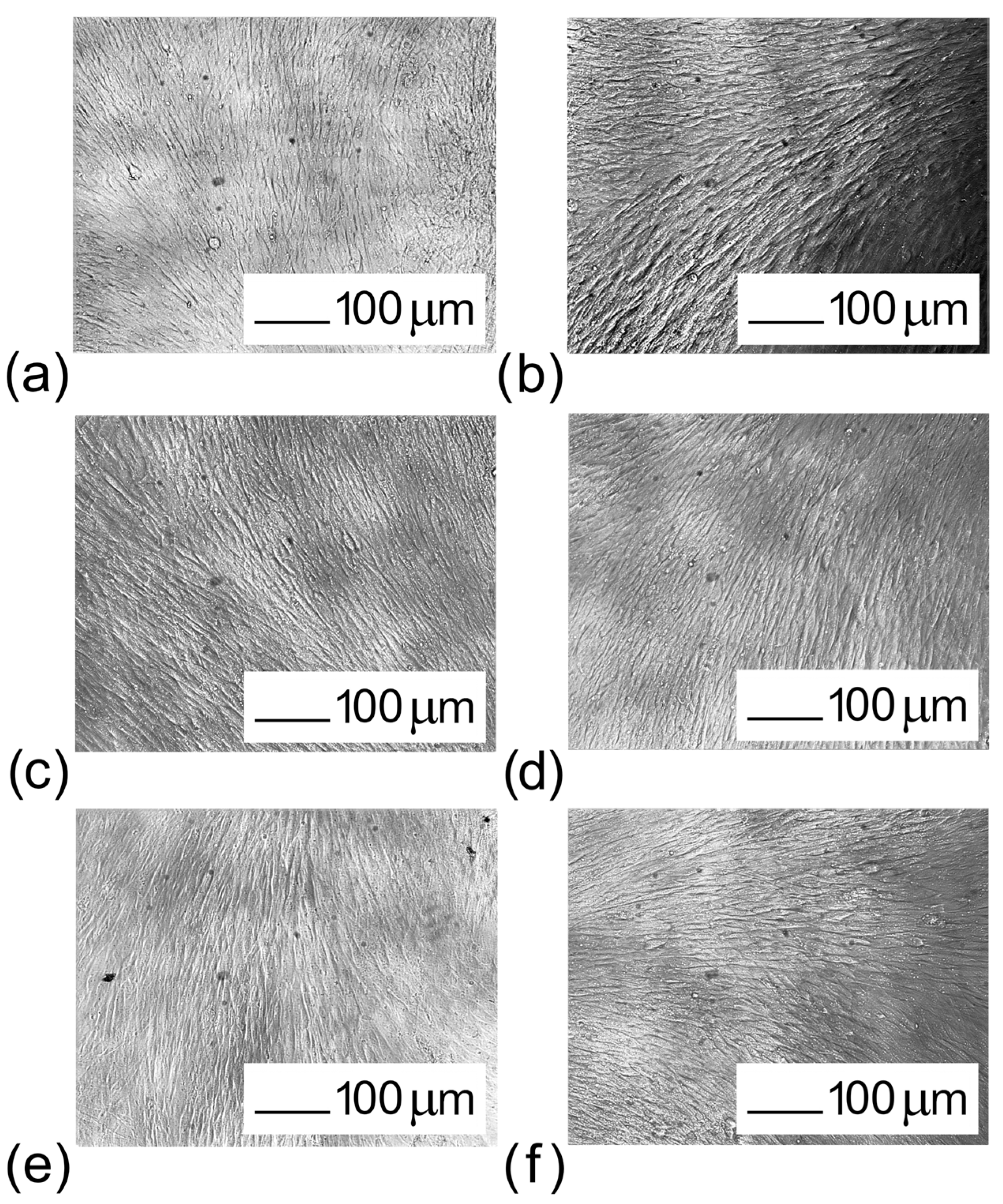 Coatings 13 00222 g014