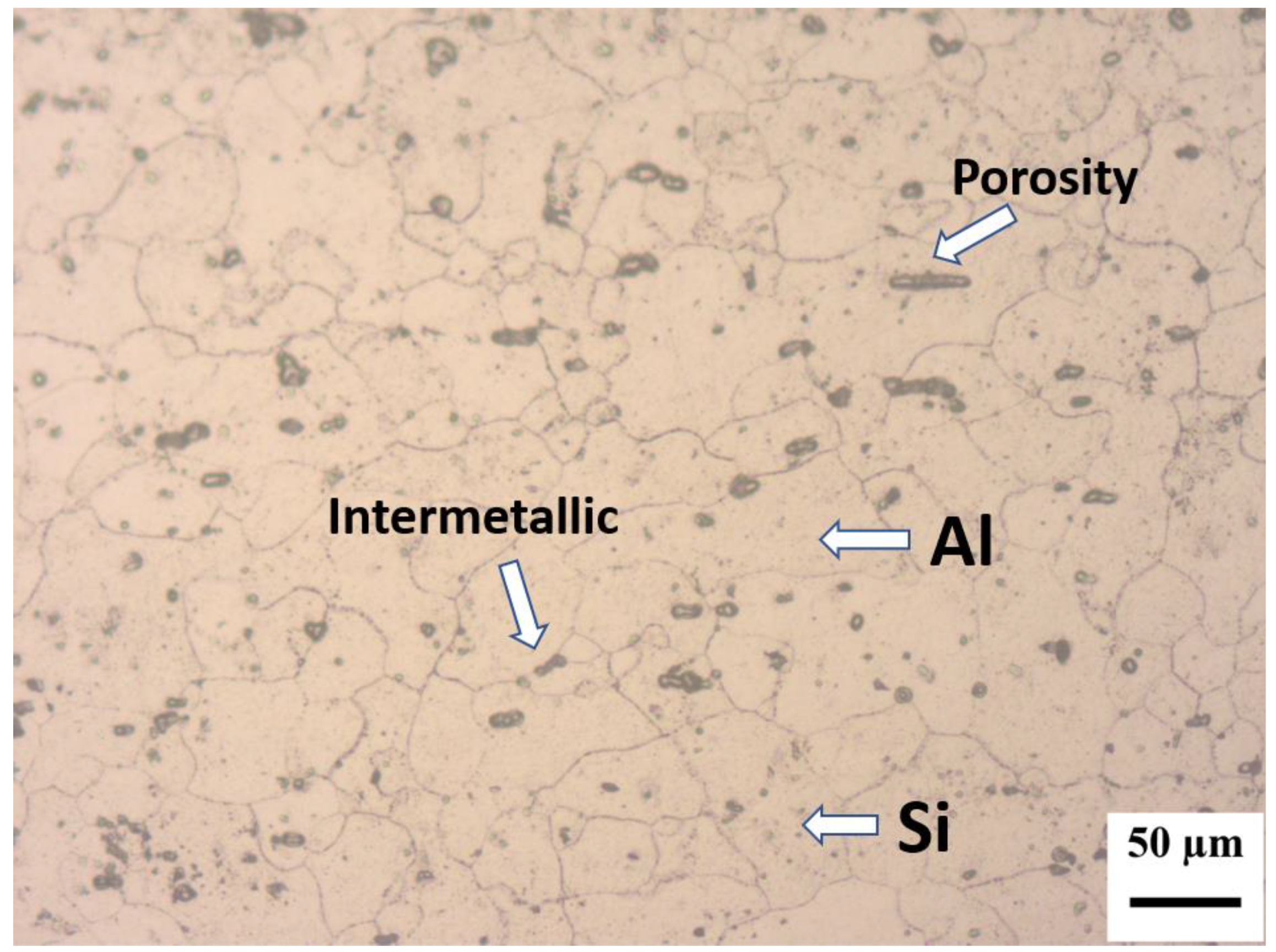 Coatings 13 00225 g002