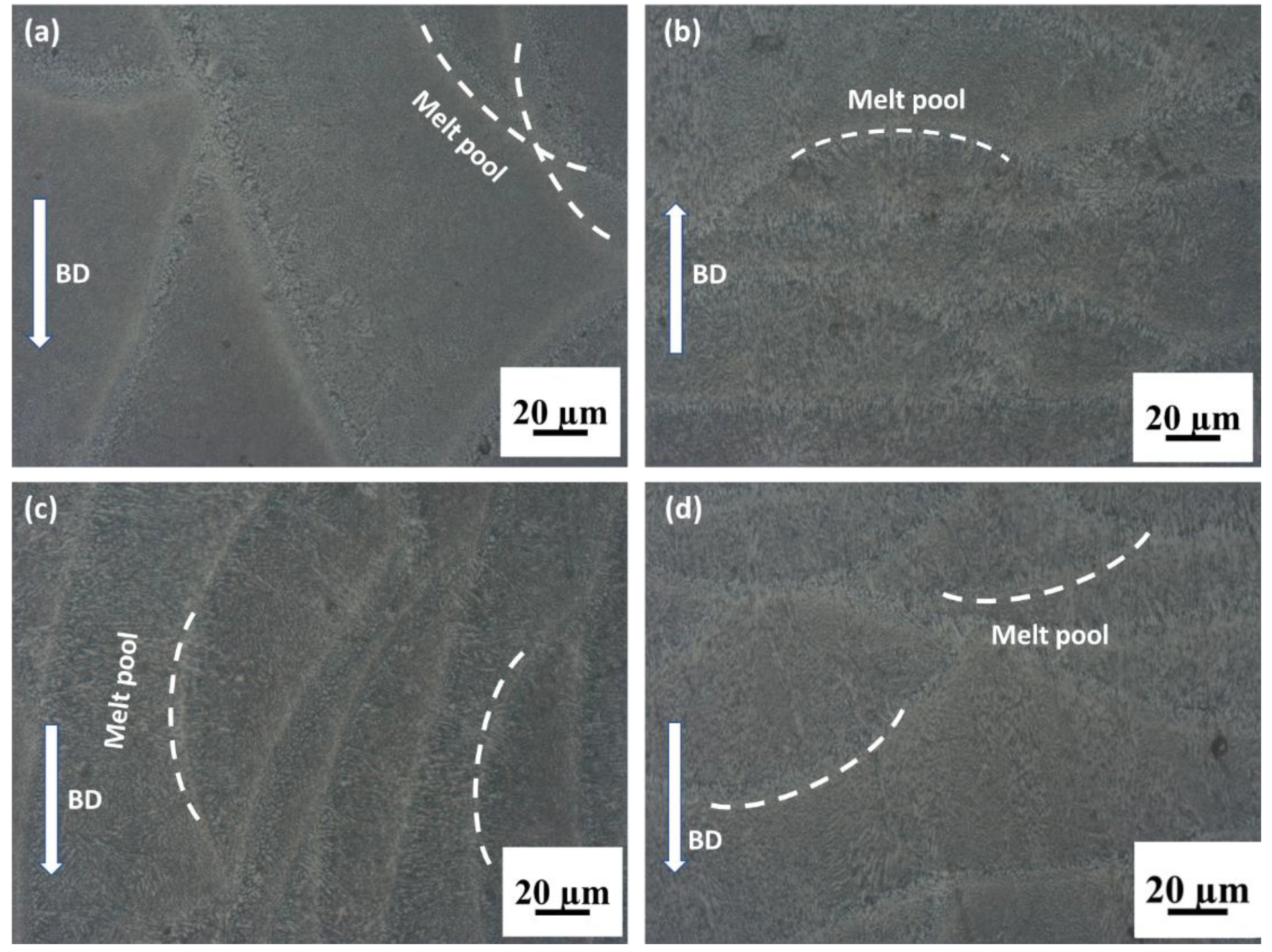 Coatings 13 00225 g003
