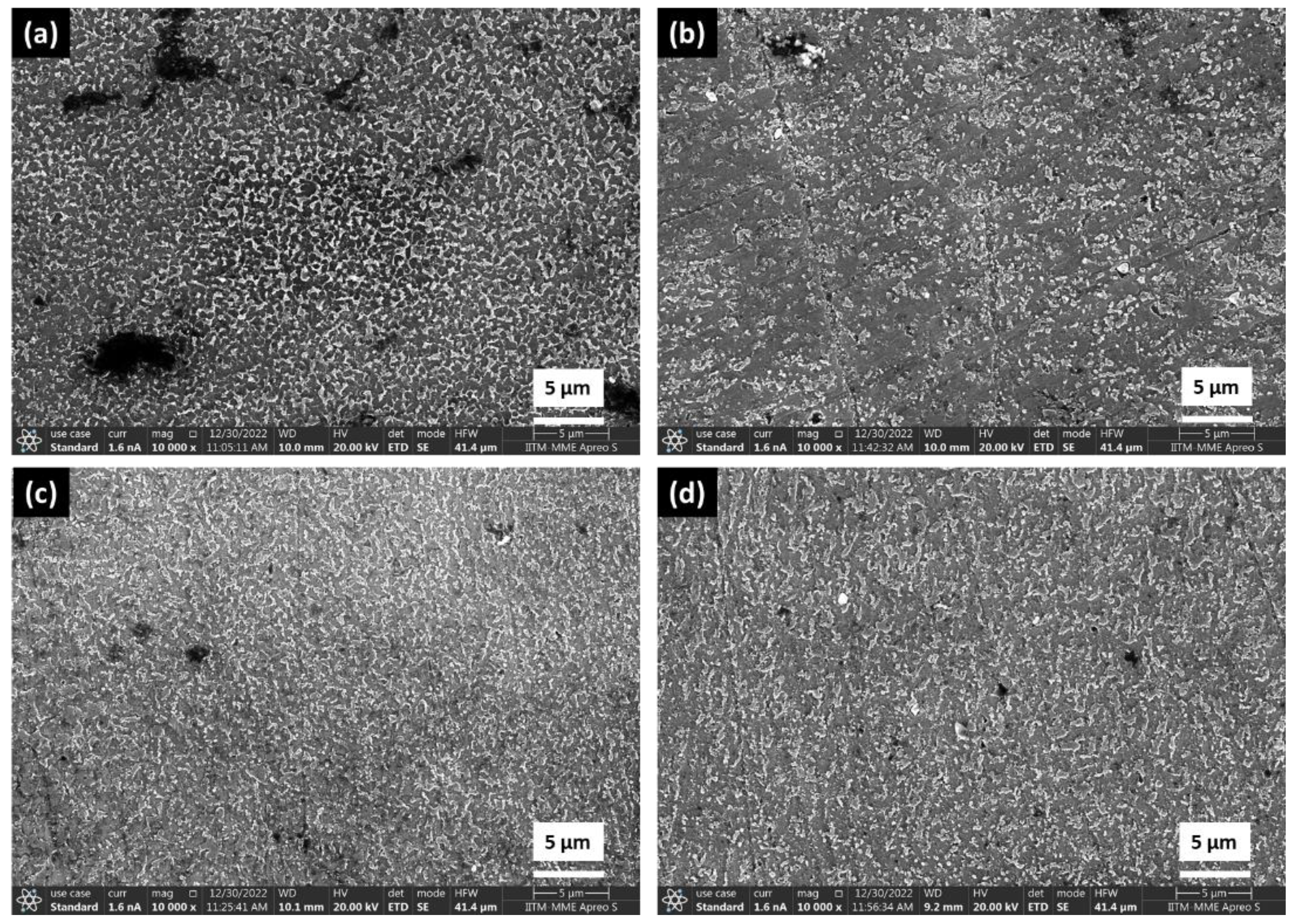 Coatings 13 00225 g006