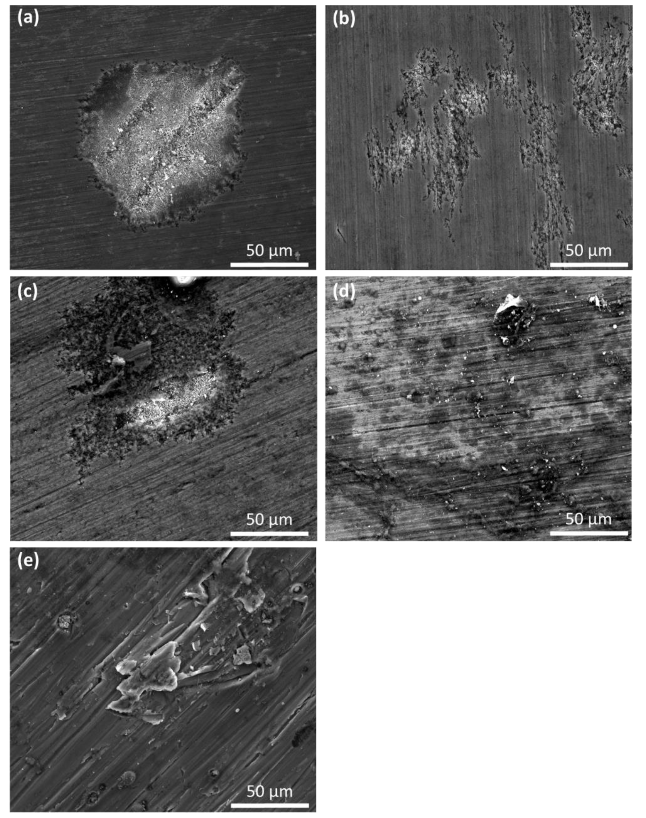 Coatings 13 00225 g014