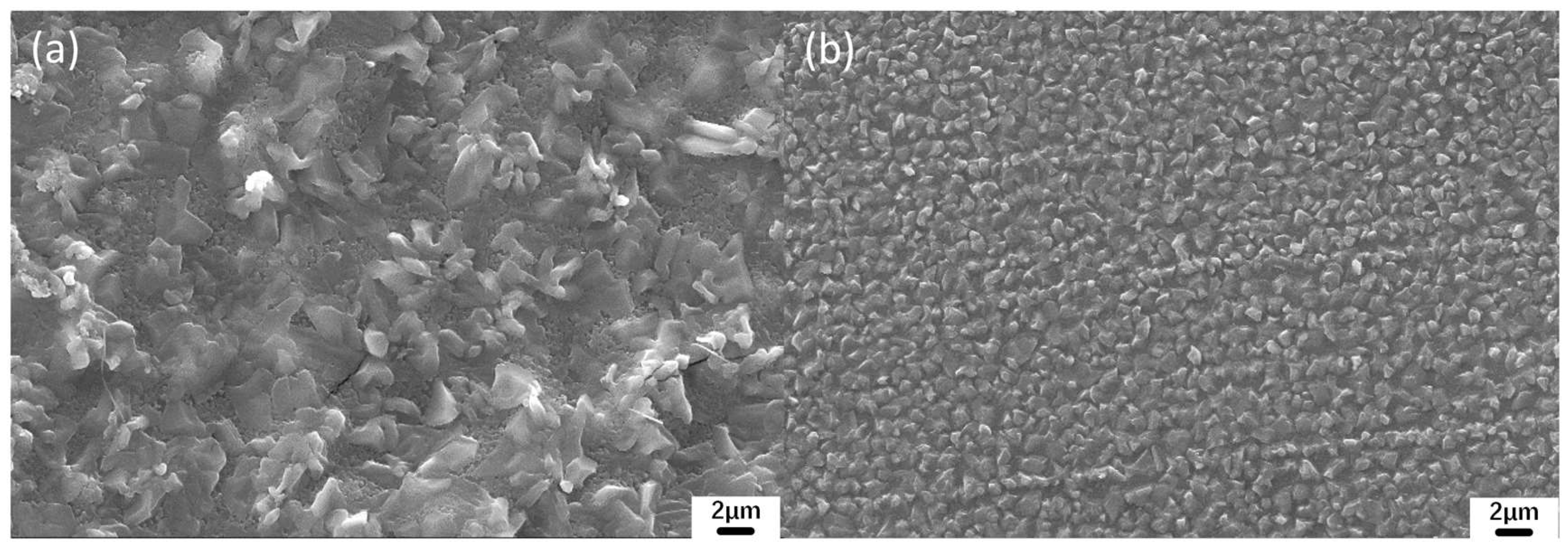 Coatings 13 00226 g009