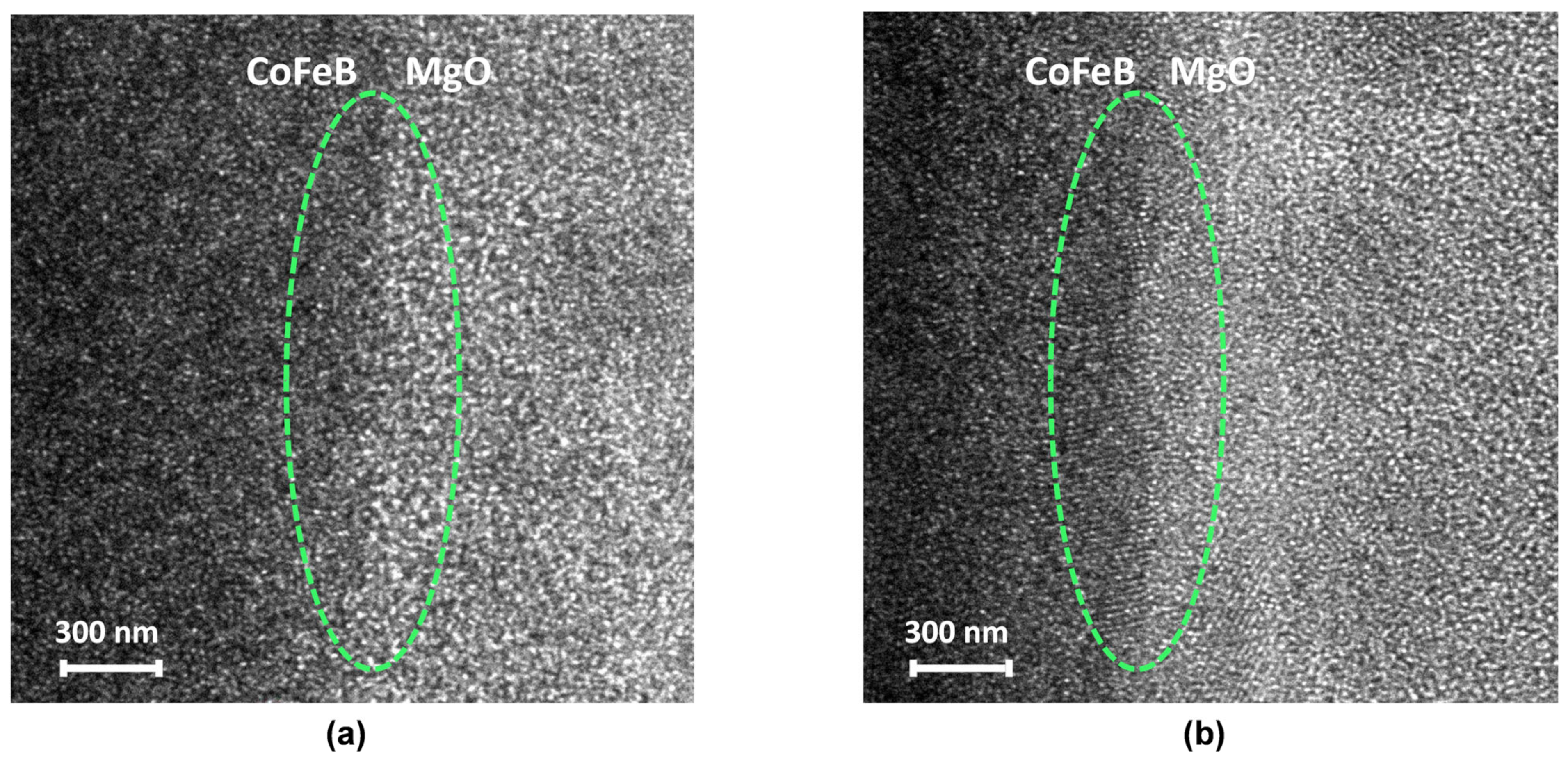 Coatings 13 00227 g003 Coatings 13 00227 g003