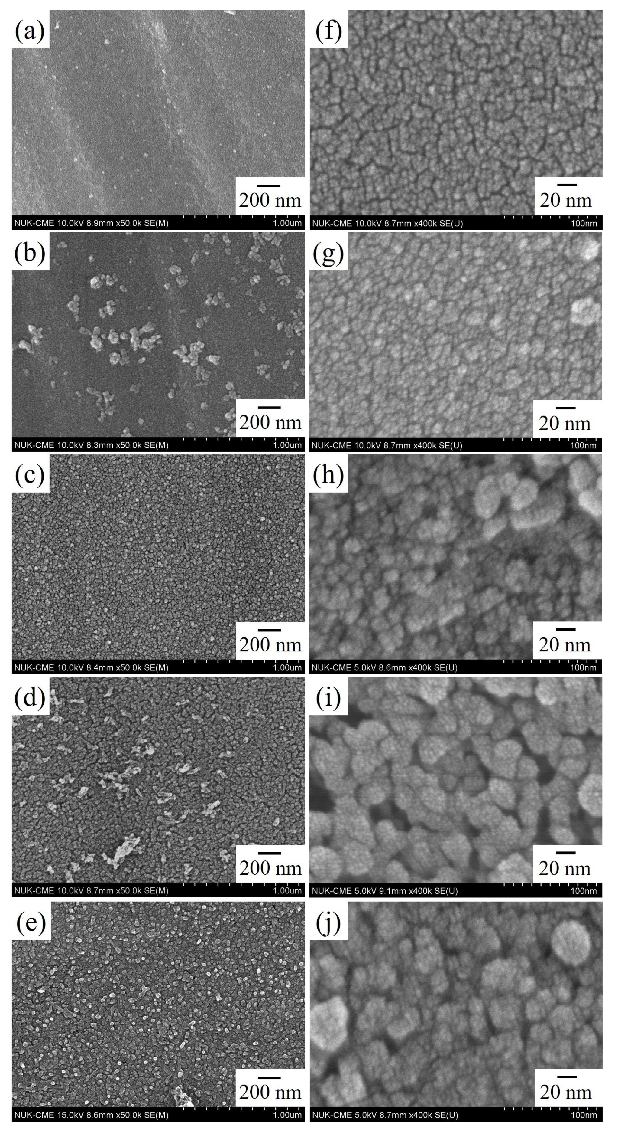 Coatings 13 00228 g001