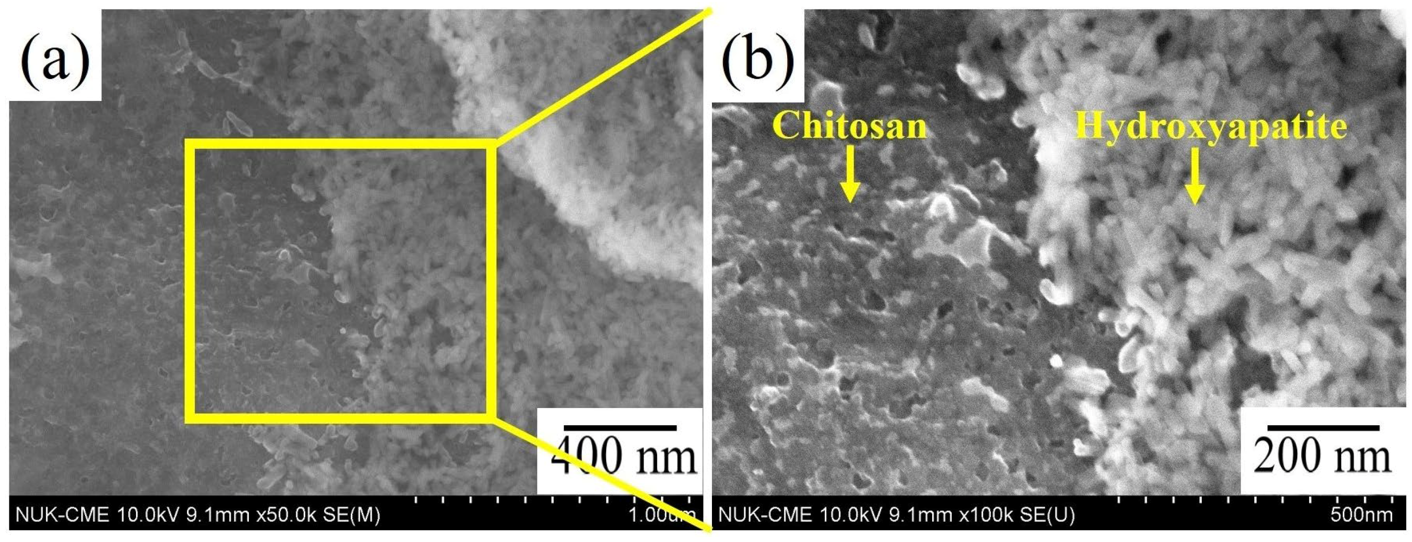 Coatings 13 00228 g002
