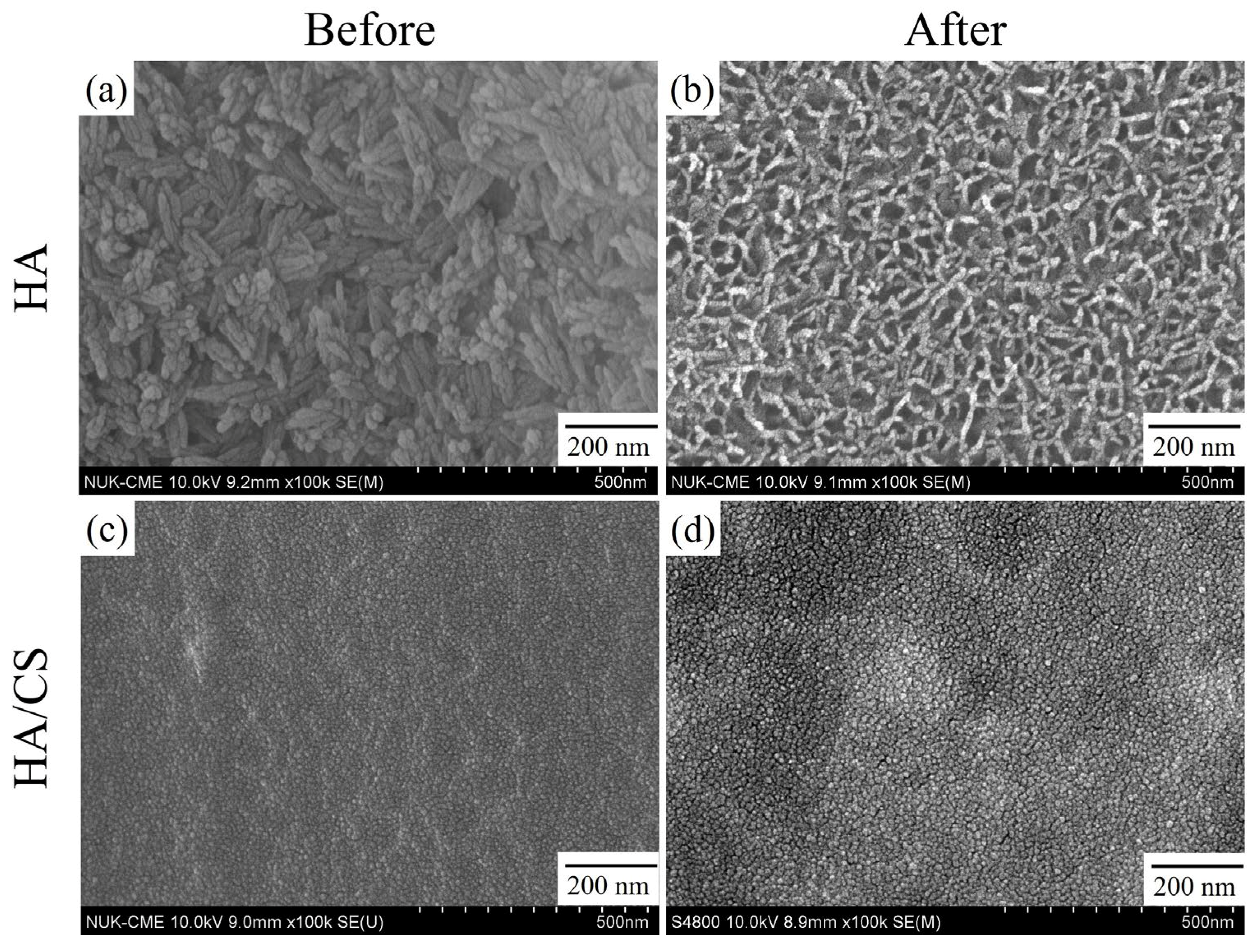 Coatings 13 00228 g005