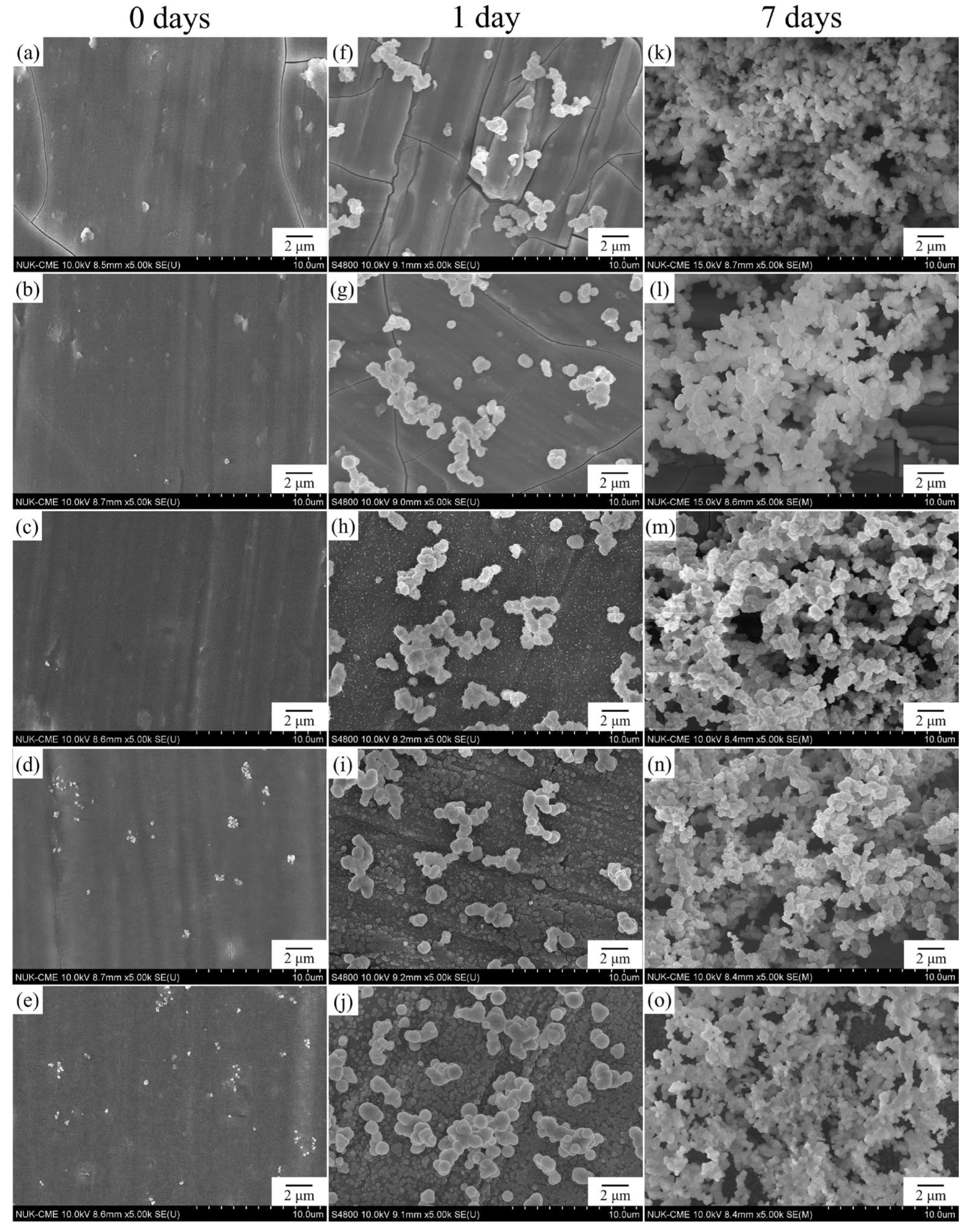 Coatings 13 00228 g007