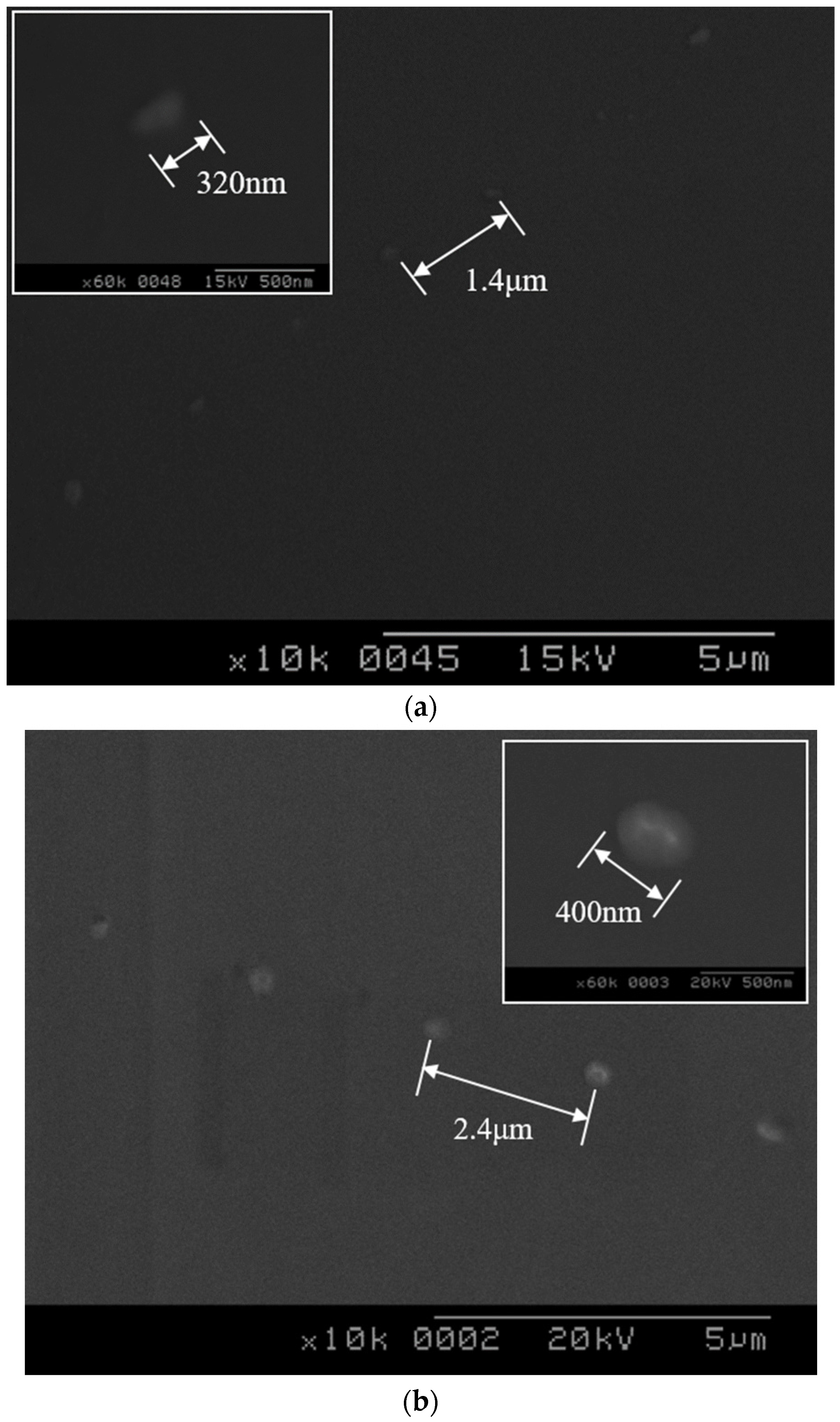 Coatings 13 00229 g005