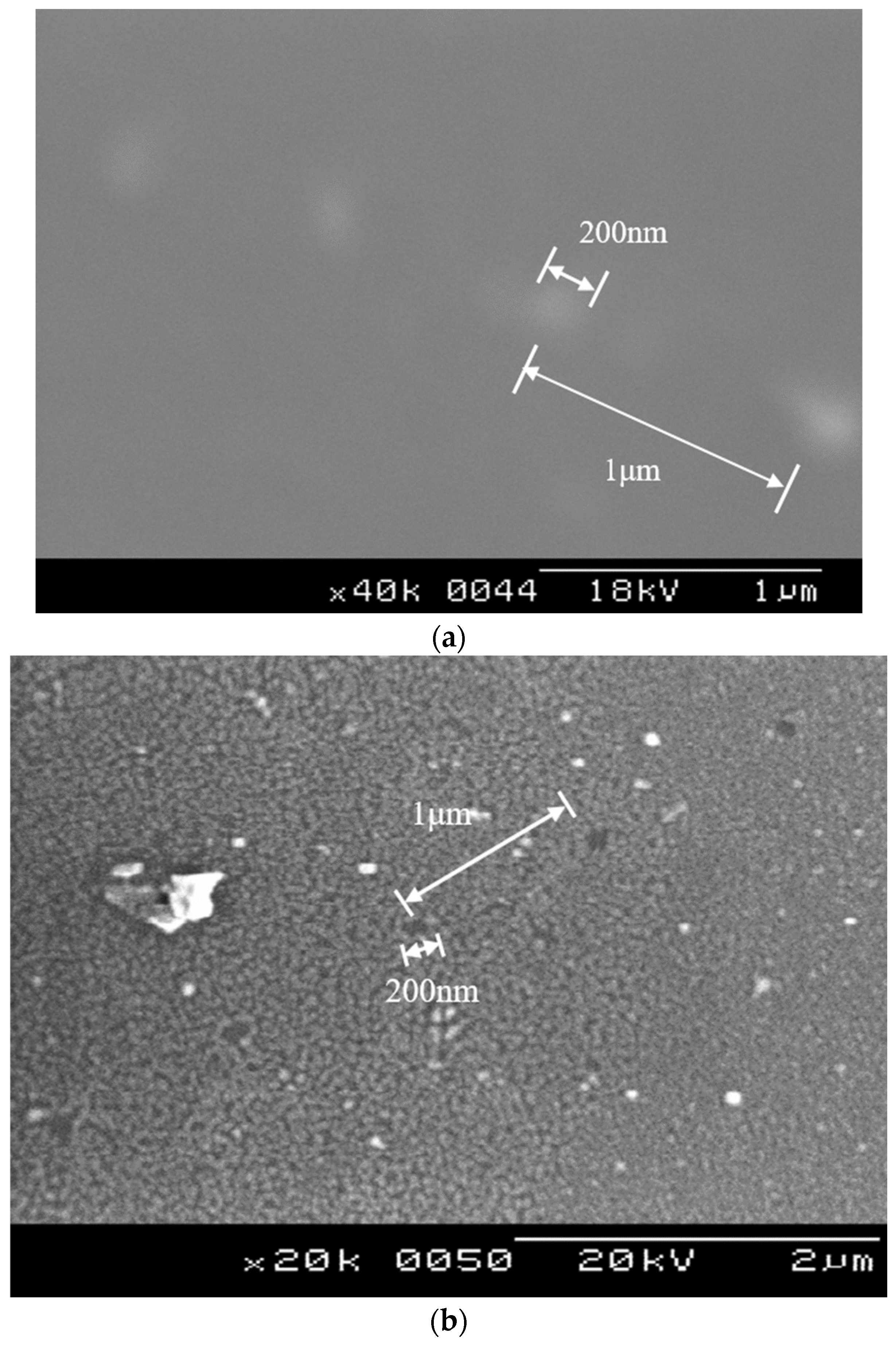 Coatings 13 00229 g006