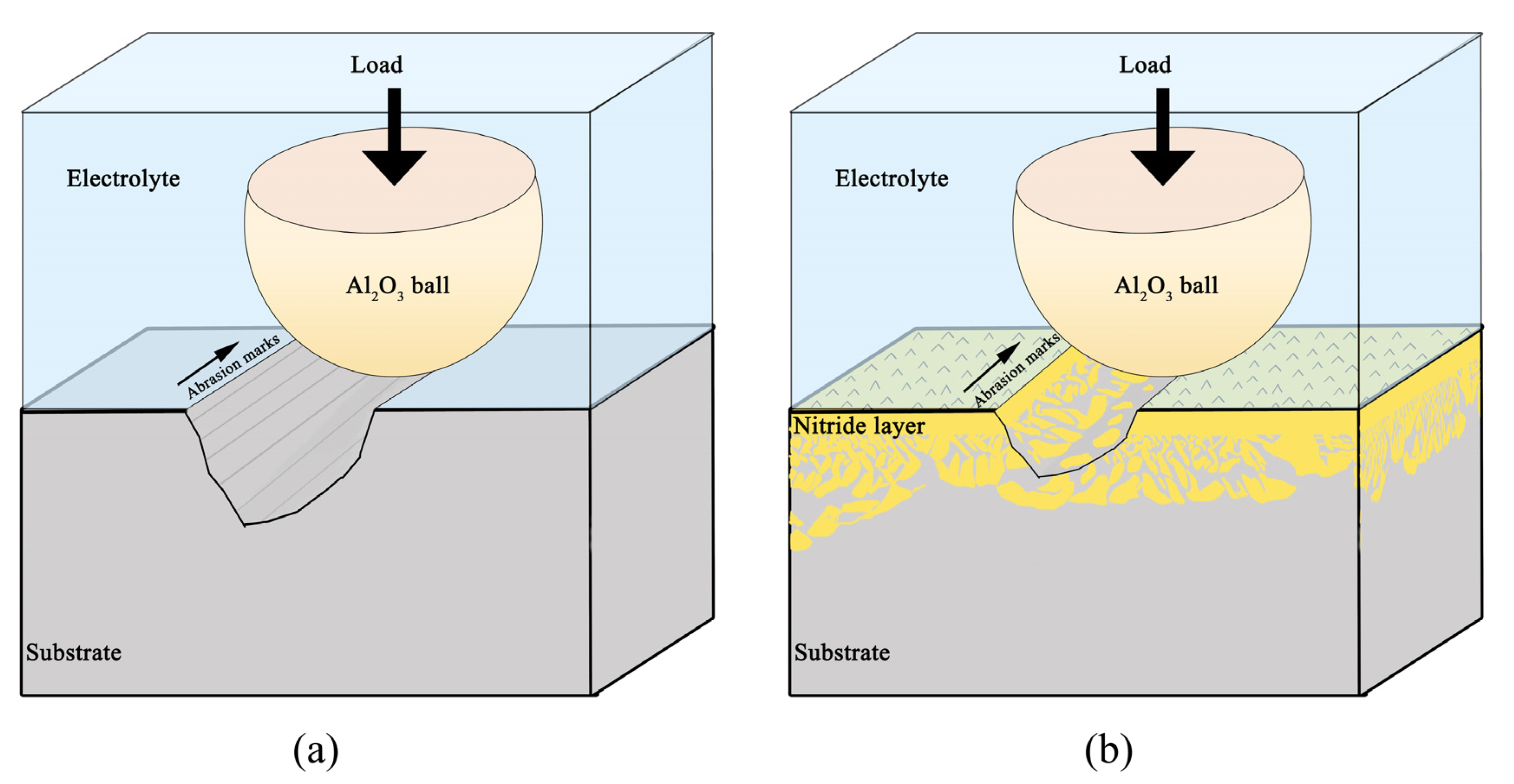 Coatings 13 00231 g012