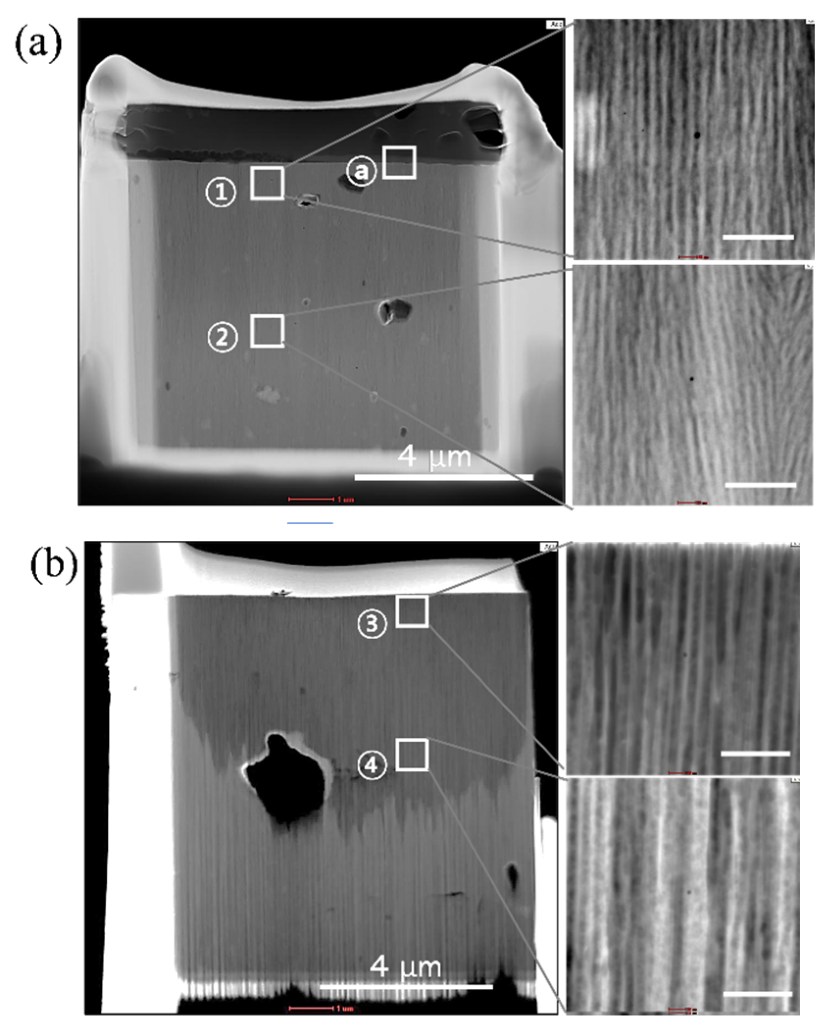 Coatings 13 00232 g012a