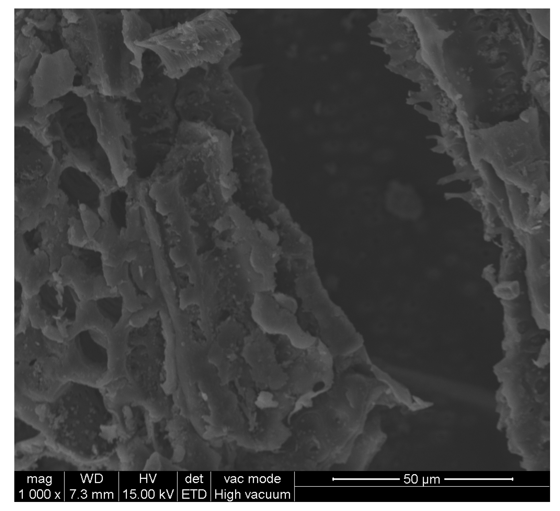 Coatings 13 00233 g009