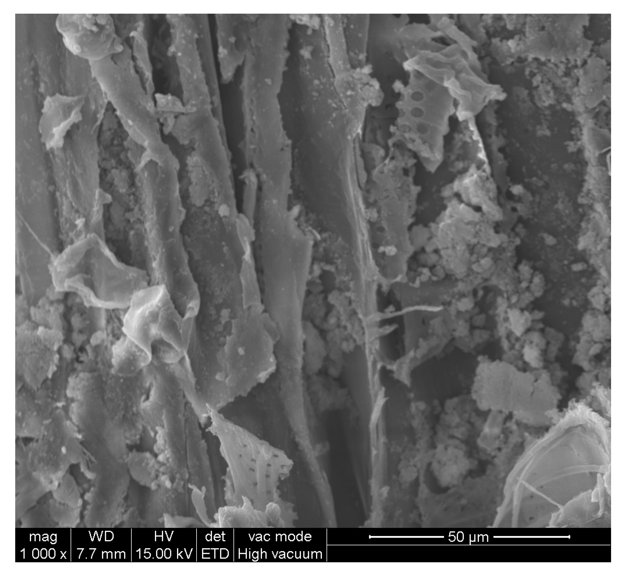 Coatings 13 00233 g010