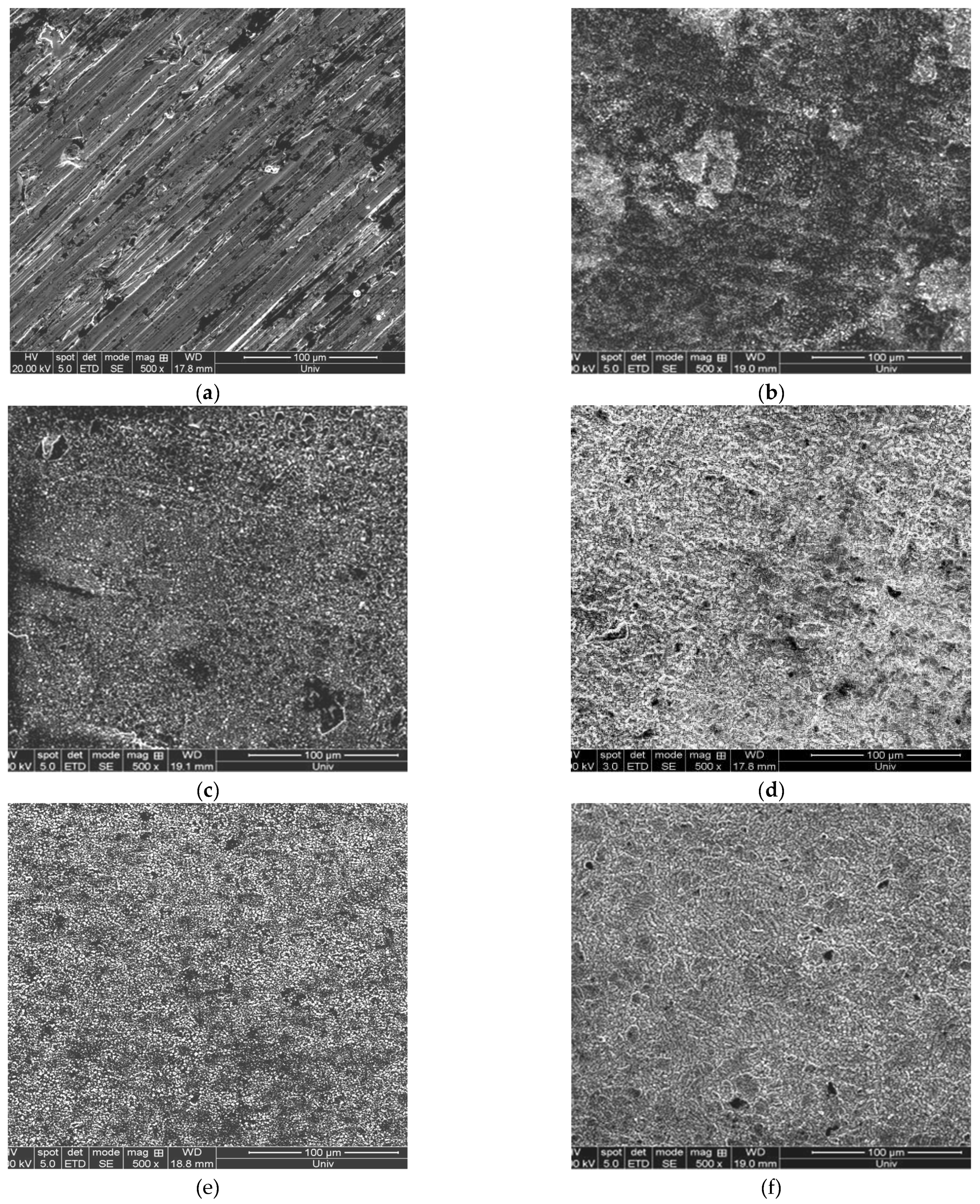 Coatings 13 00234 g009