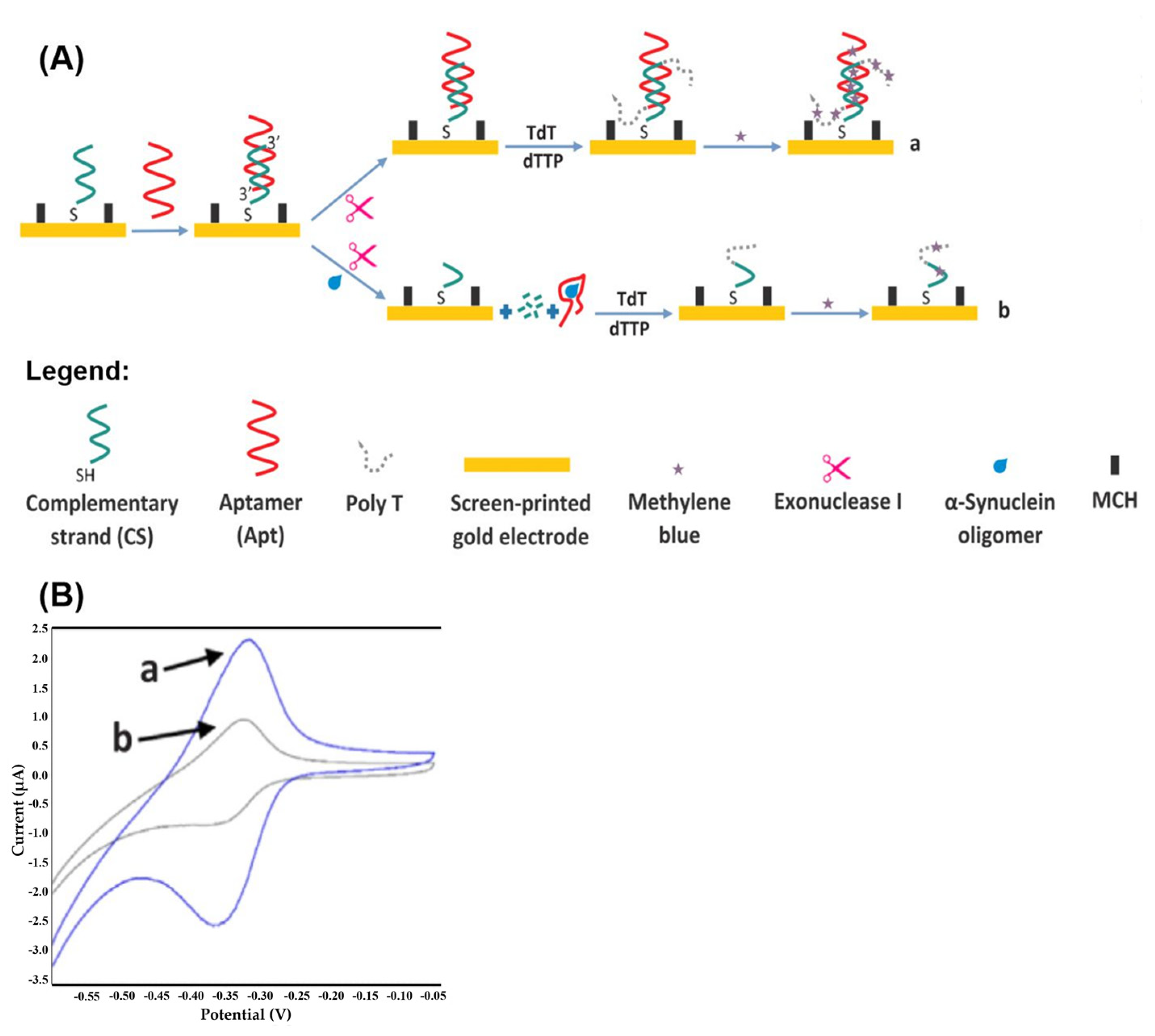 Coatings 13 00235 g001