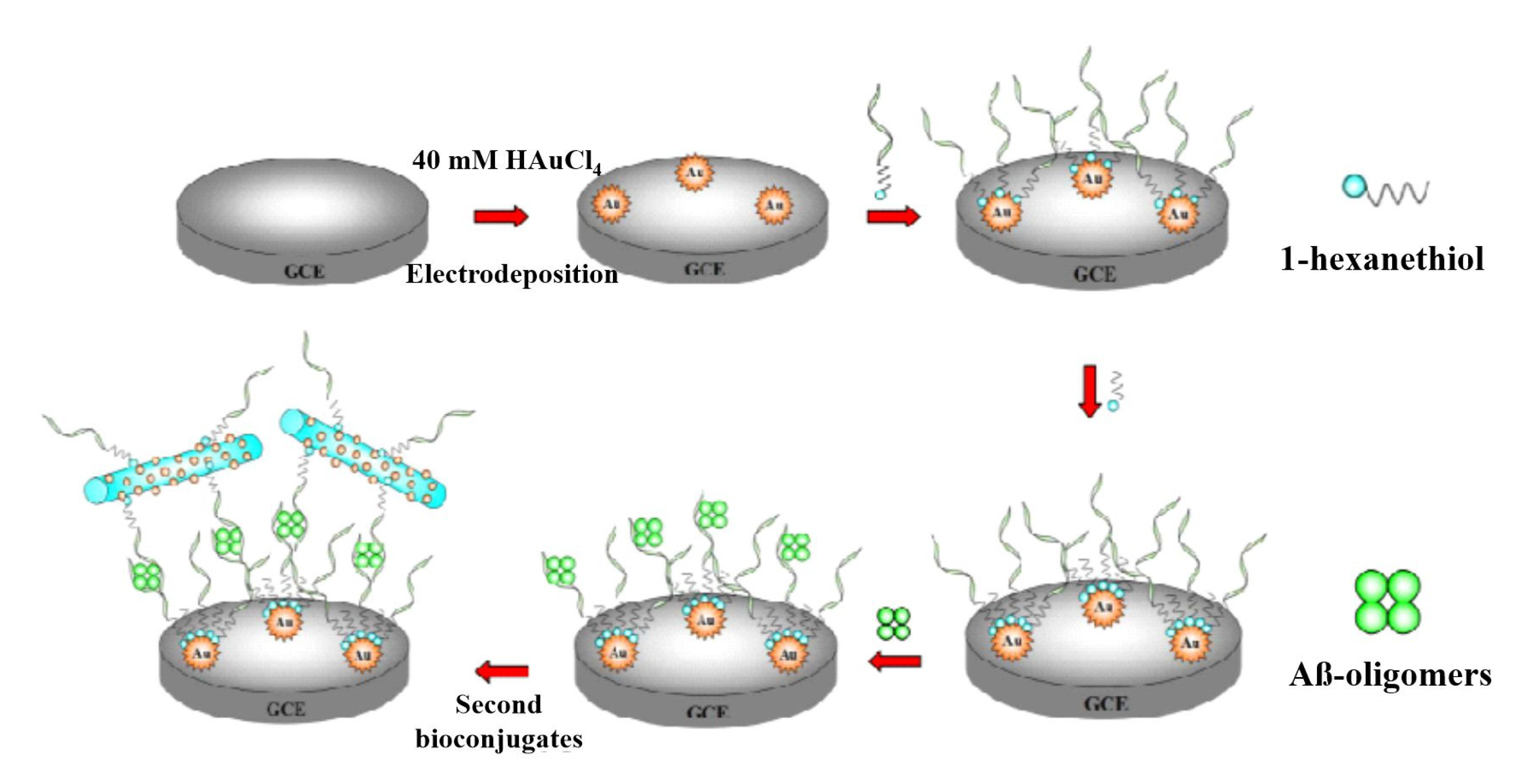 Coatings 13 00235 g003