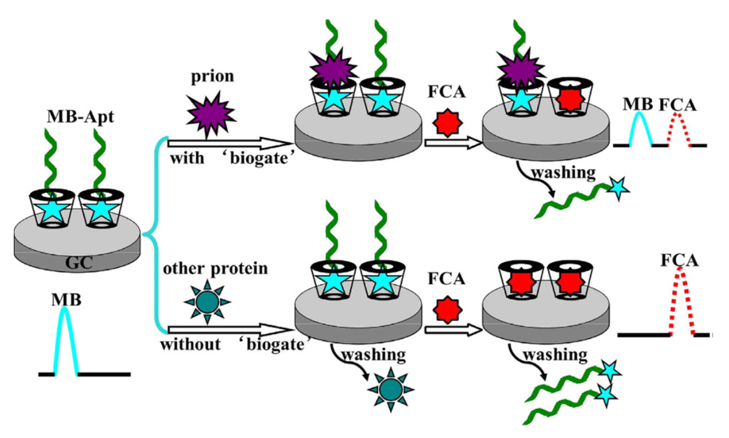 Coatings 13 00235 g006