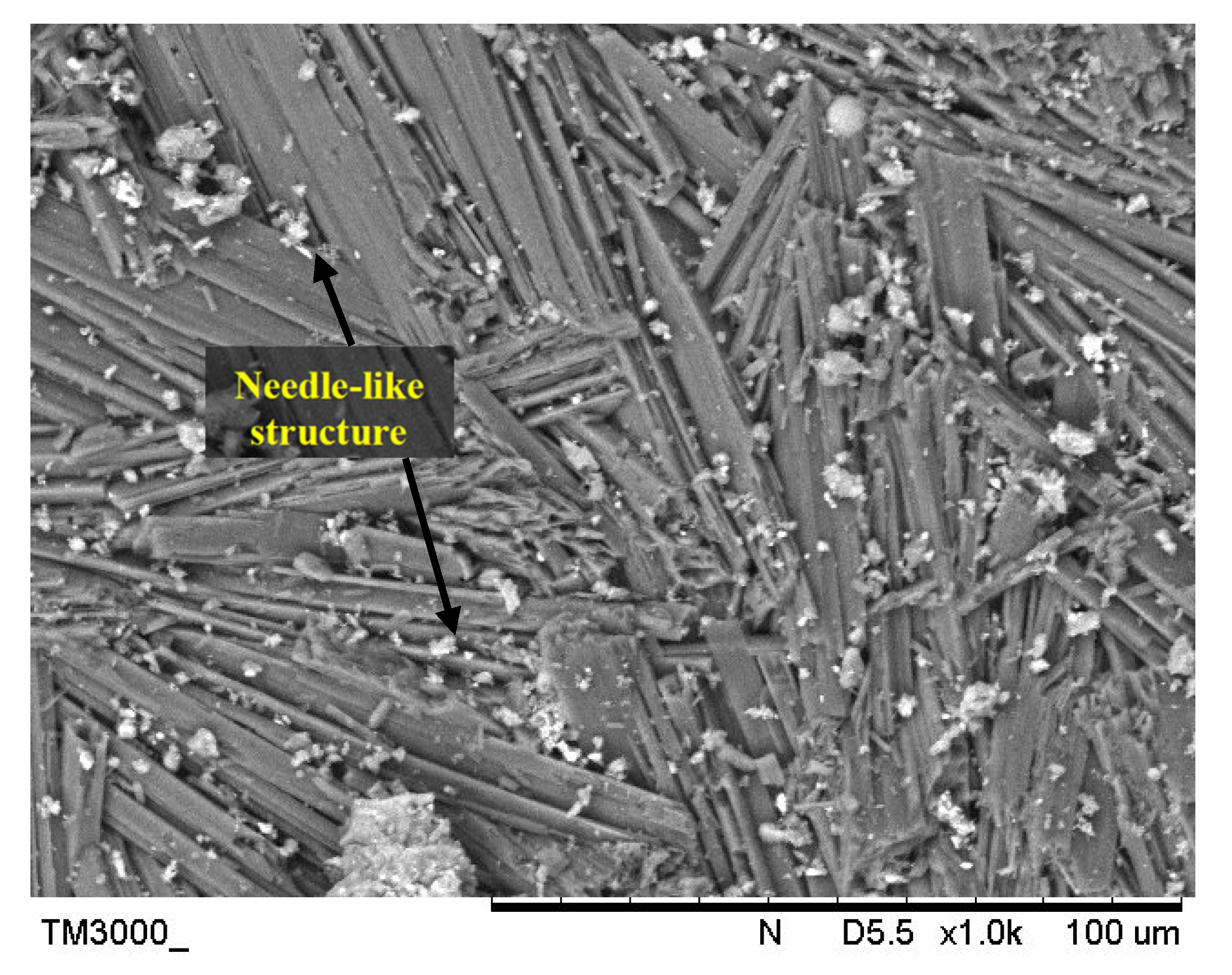 Coatings 13 00236 g001