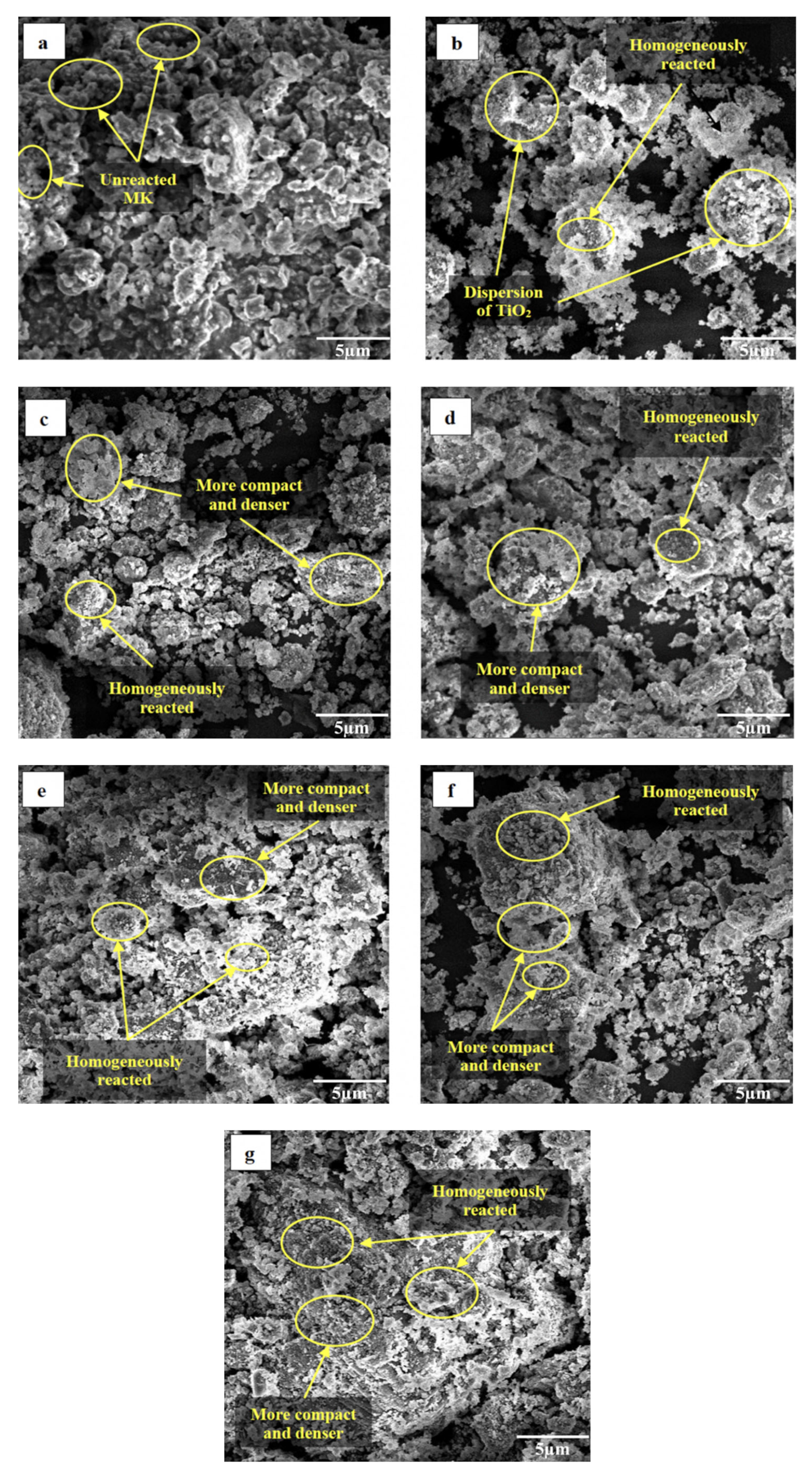 Coatings 13 00236 g007