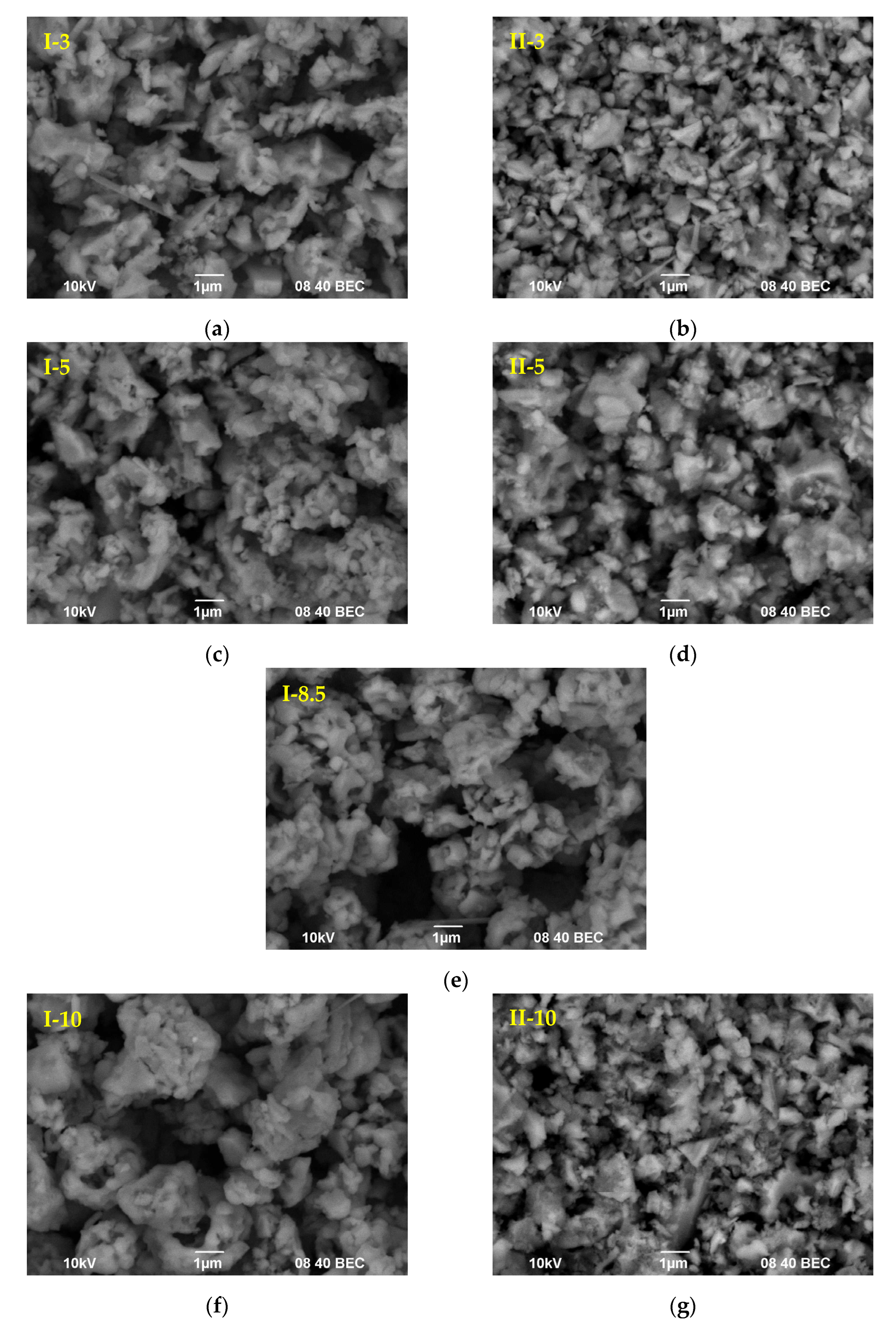 Coatings 13 00240 g001