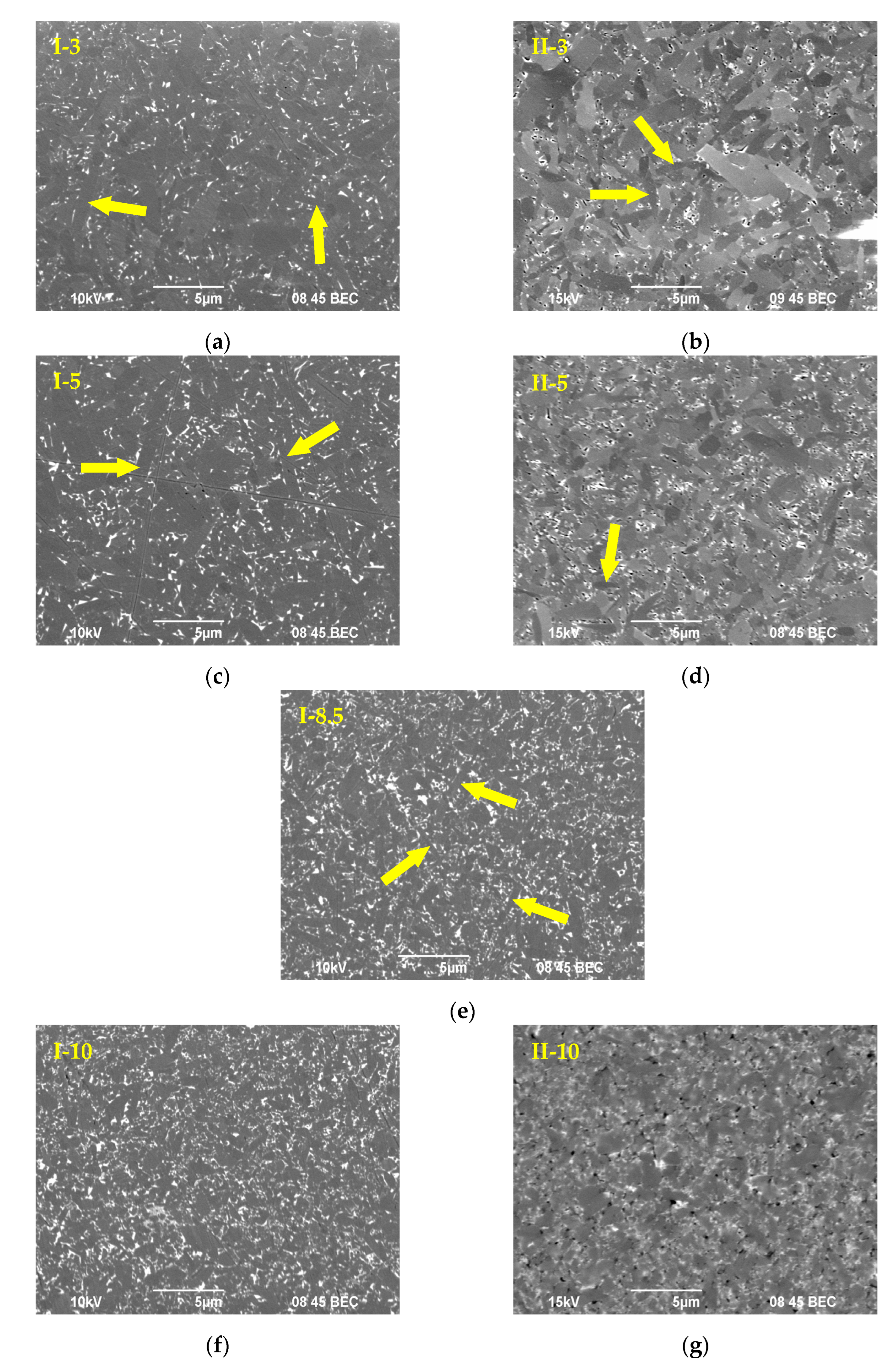Coatings 13 00240 g005