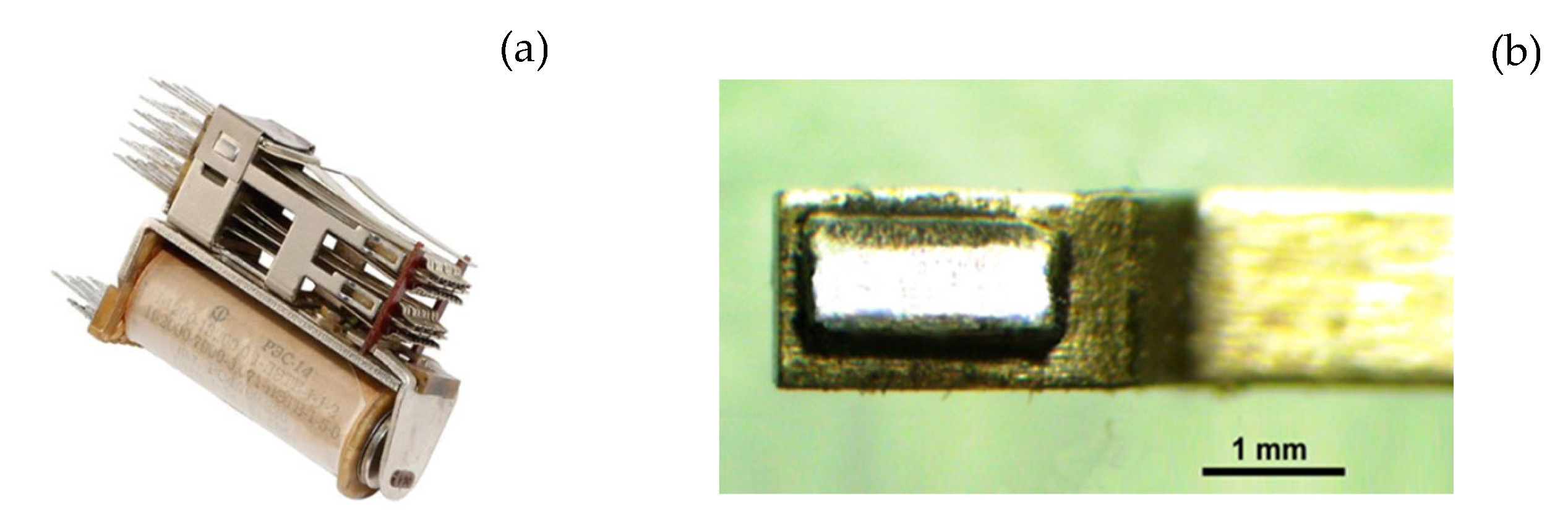 Coatings 13 00241 g001