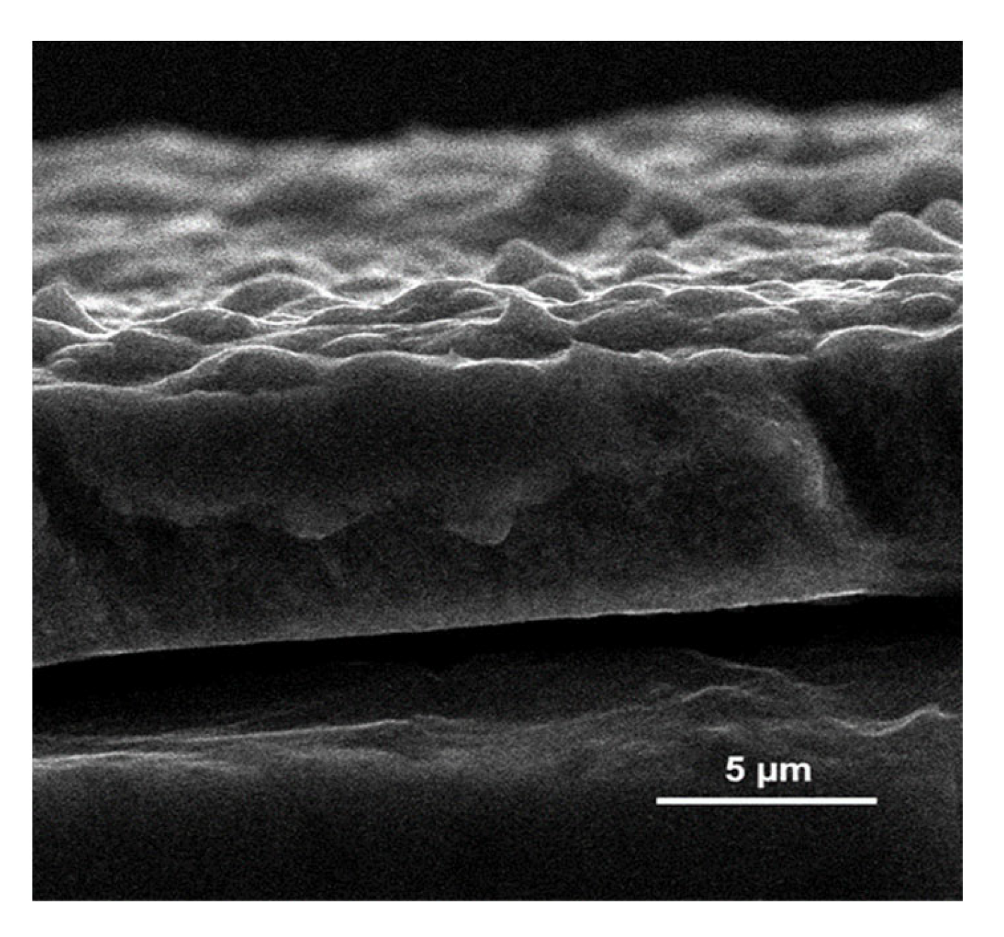 Coatings 13 00241 g002