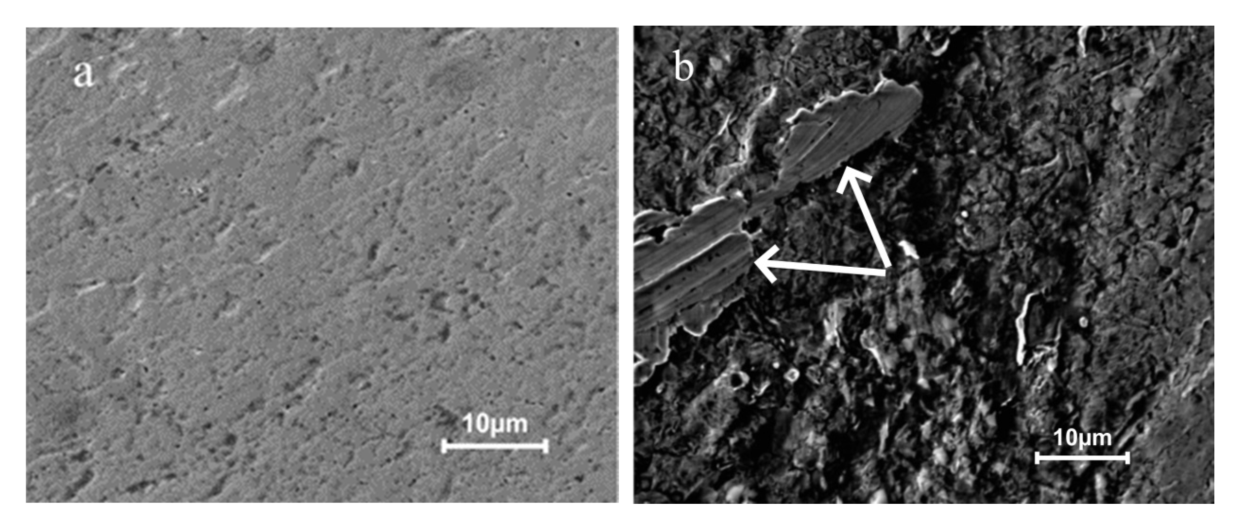 Coatings 13 00241 g005