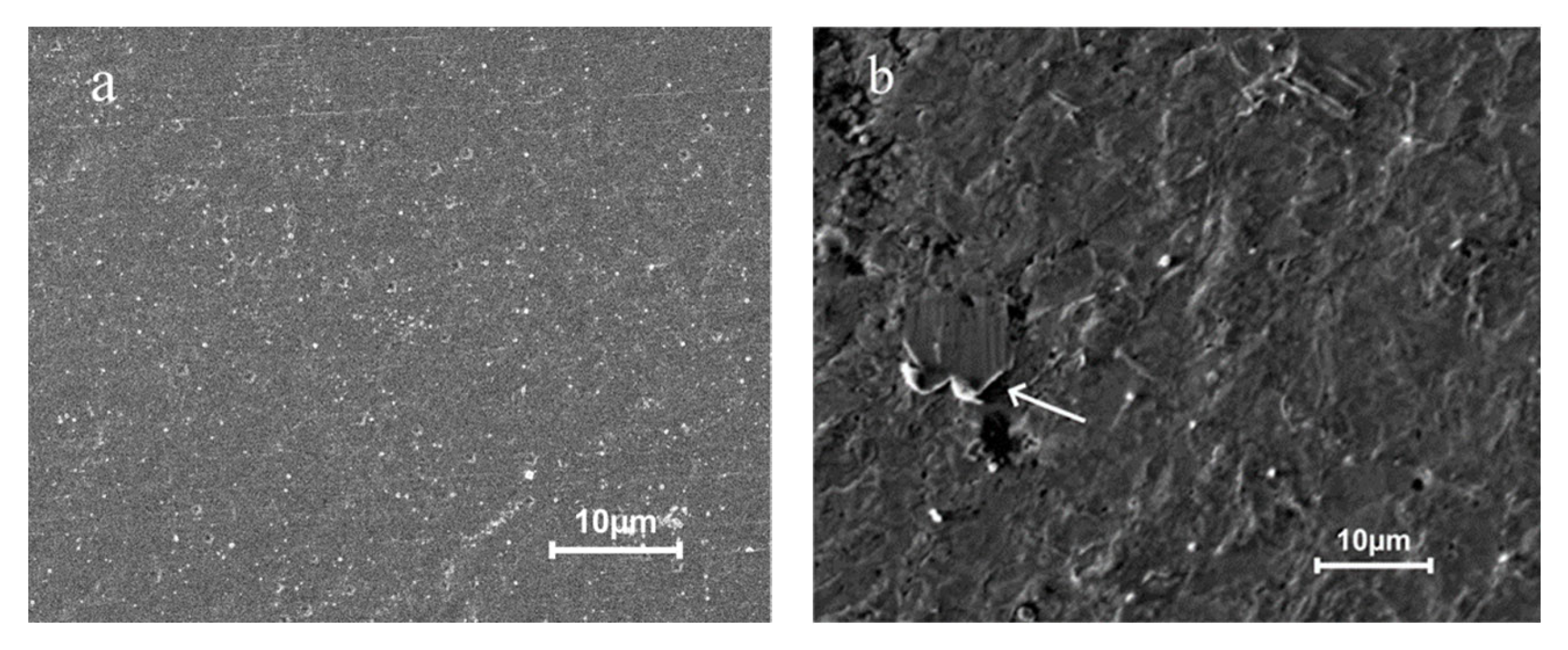 Coatings 13 00241 g006