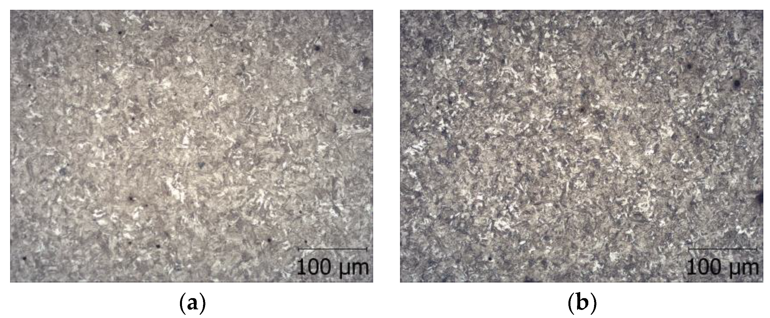 Coatings 13 00242 g001a