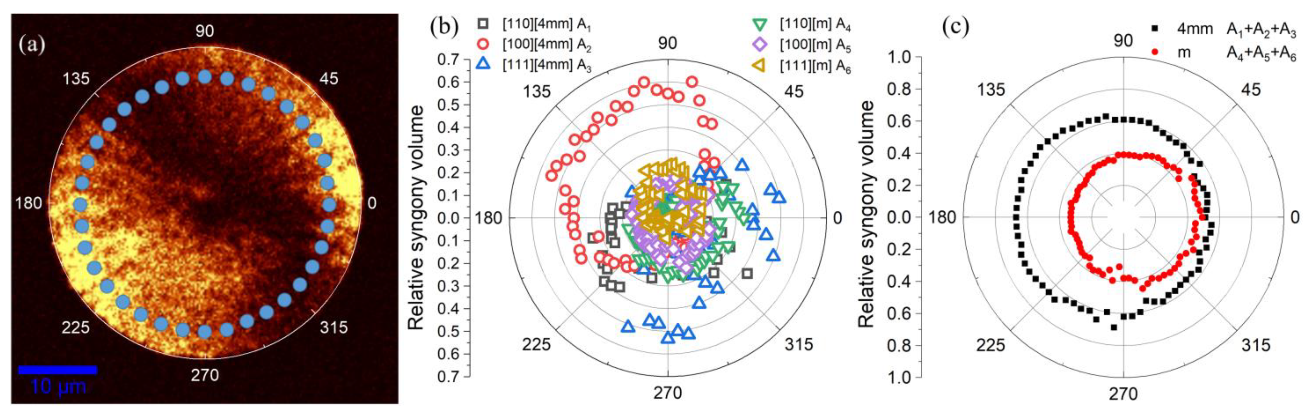 Coatings 13 00247 g002