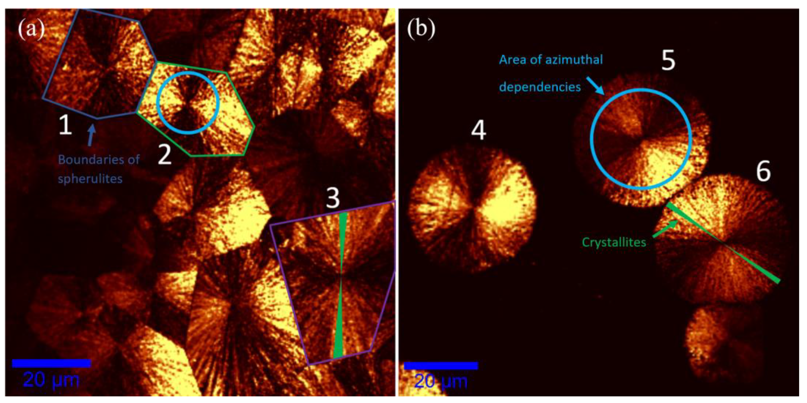 Coatings 13 00247 g003
