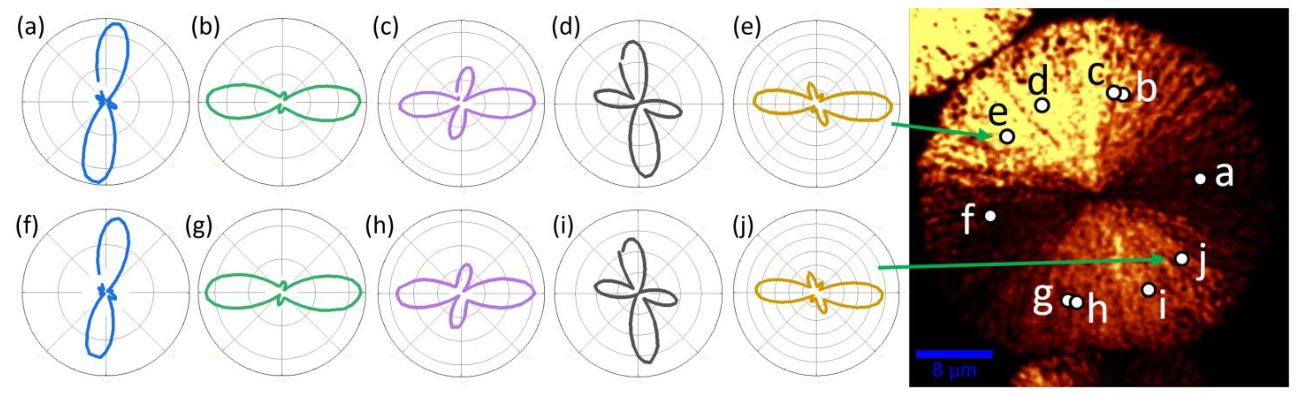 Coatings 13 00247 g006